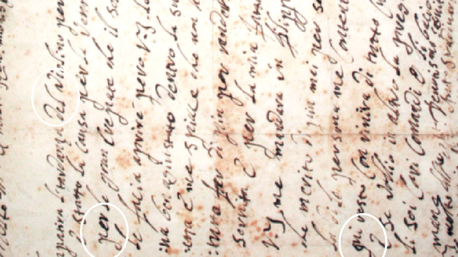 Immagine di I manoscritti di Stradivari salvati dalla distruzione