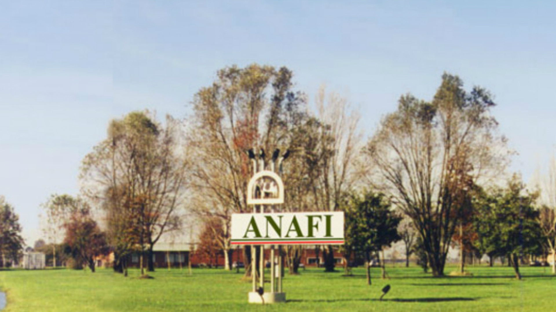 Immagine di Furto di rame presso all'A.N.A.F.I. di Cremona. Arrestato un romeno