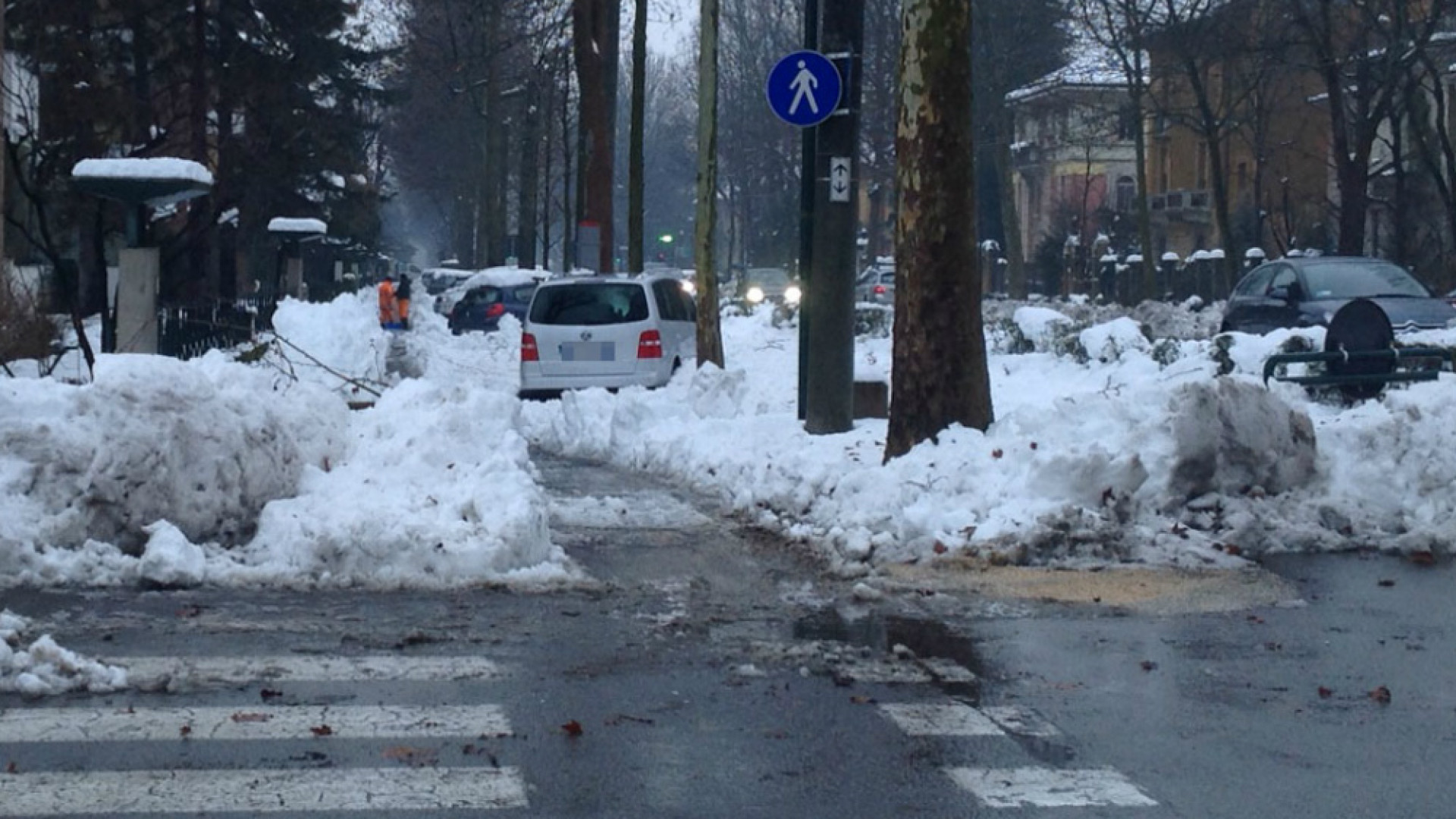 Immagine di Verde danneggiato dalla neve, interventi straordinari per 500mila euro