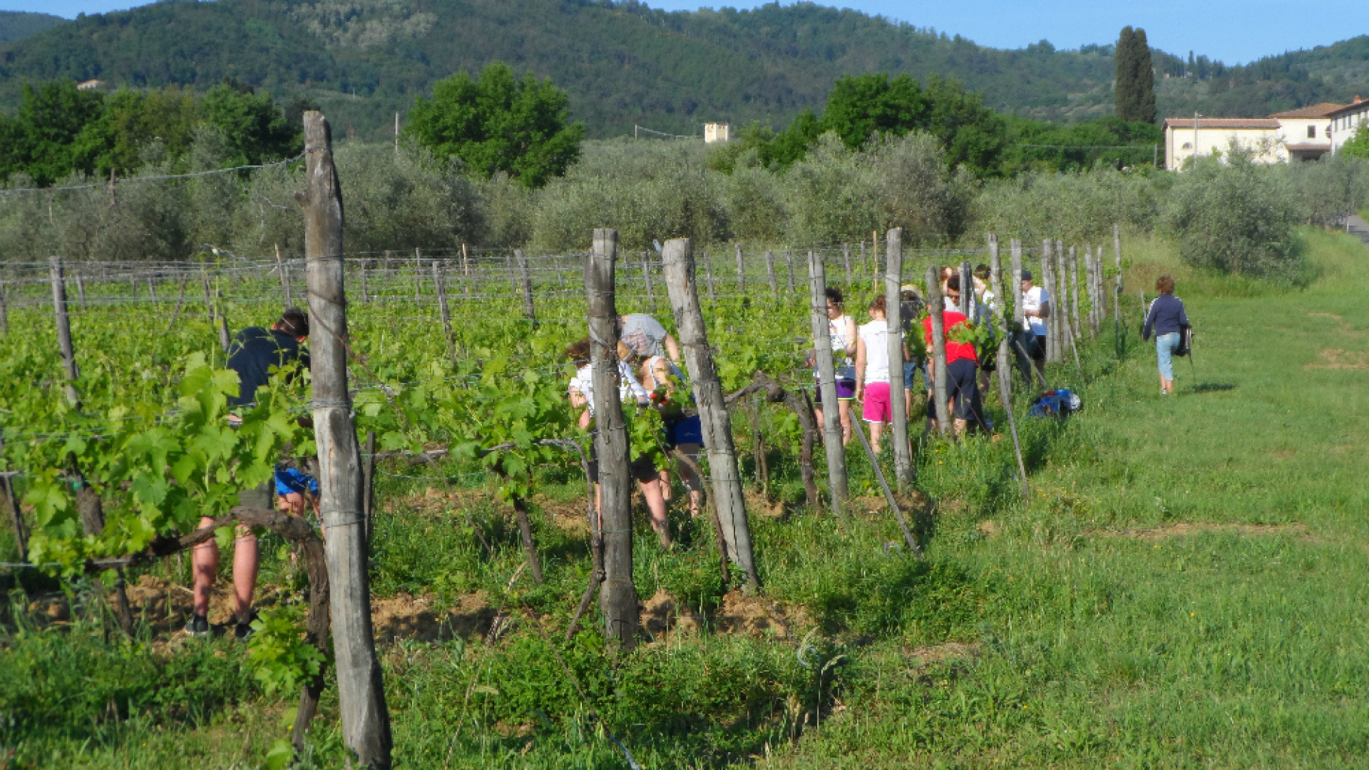 Immagine di Alternanza scuola-lavoro in Toscana