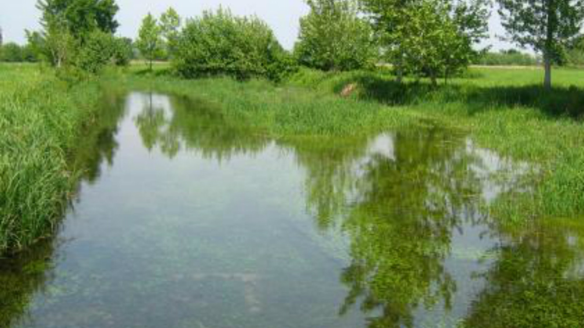 Immagine di La Sinfonia dell’Acqua