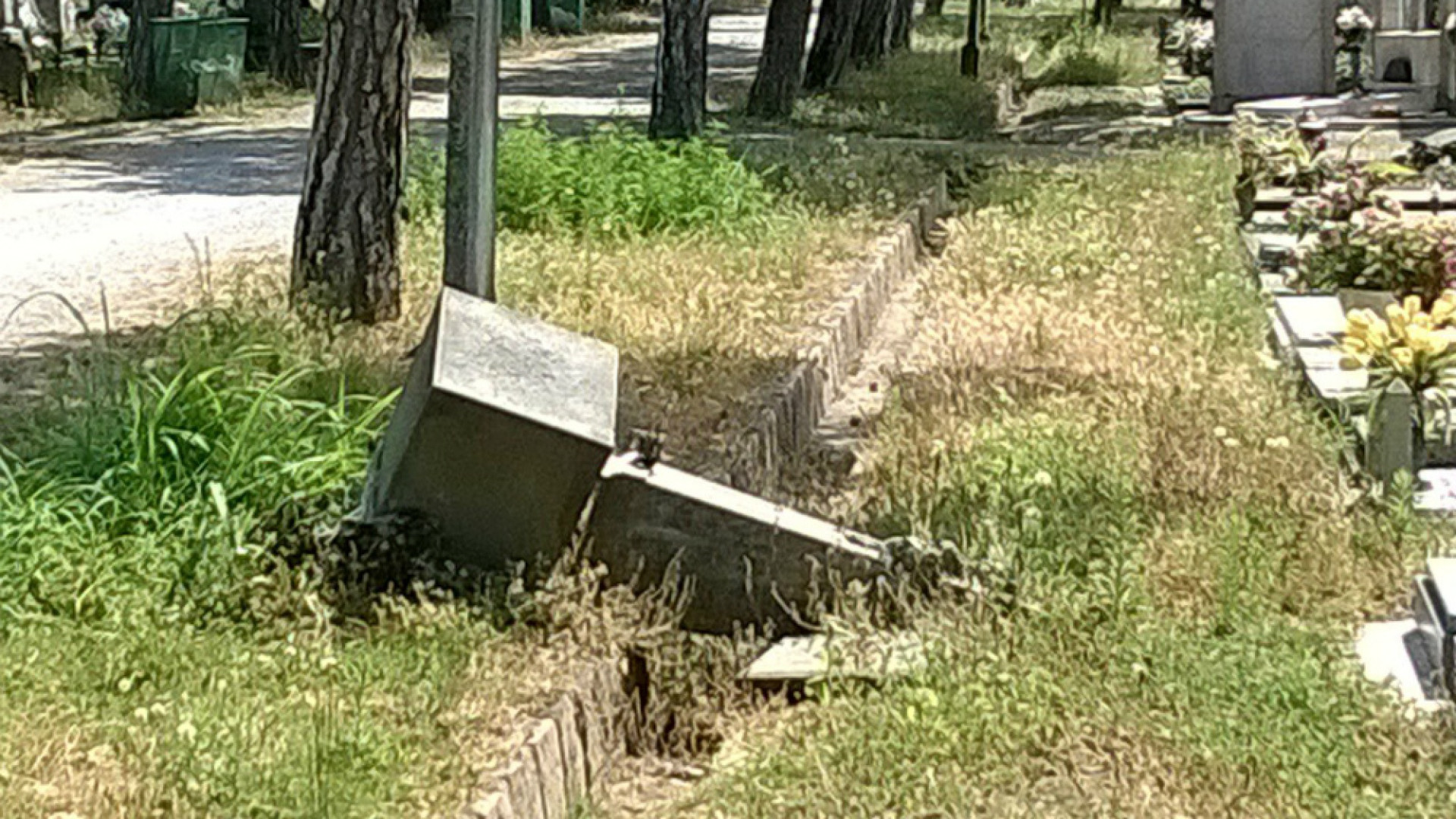 Immagine di Degrado e sporcizia Cimitero malridotto