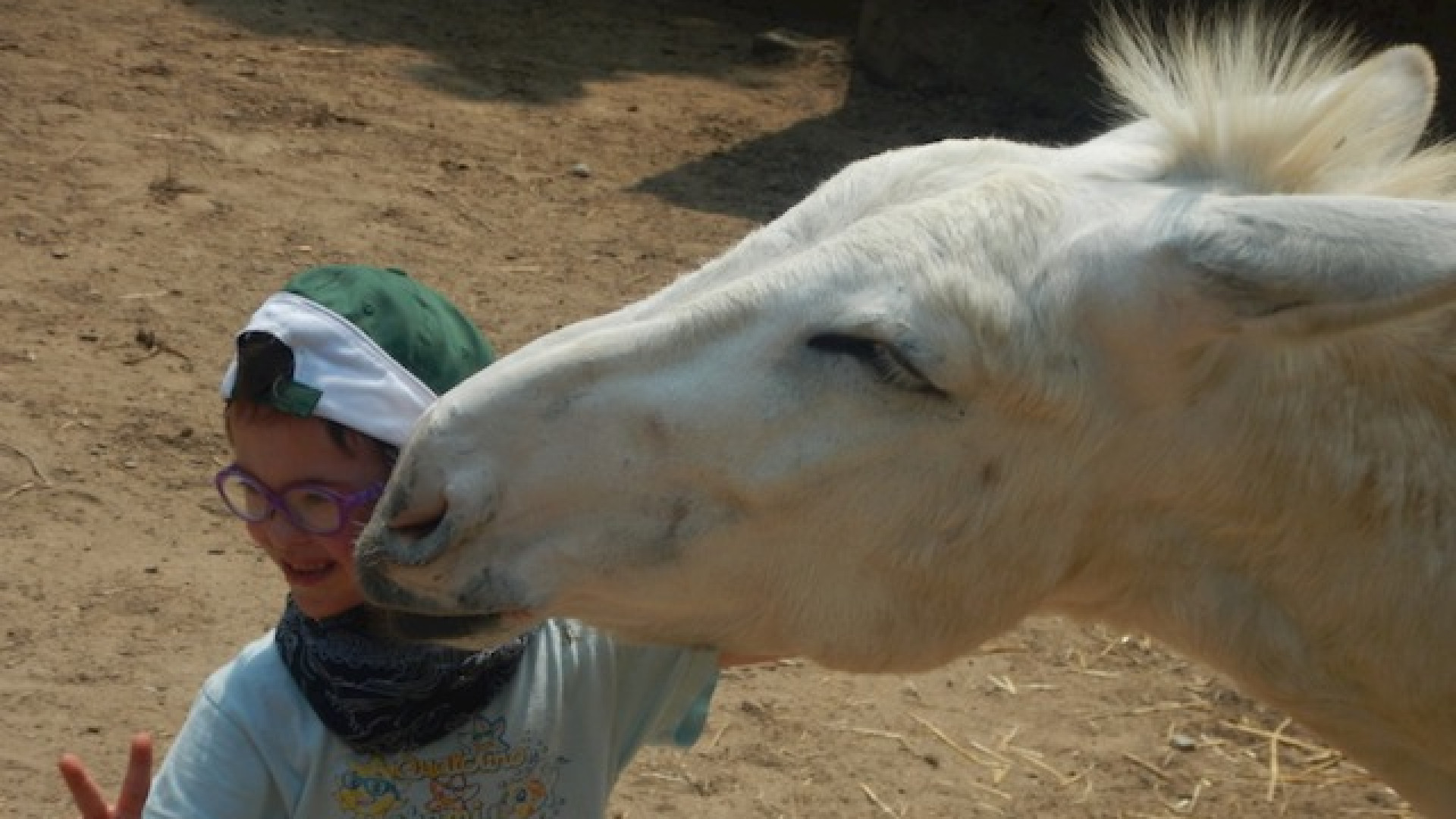 Immagine di Felicità è un’Isla de Burro