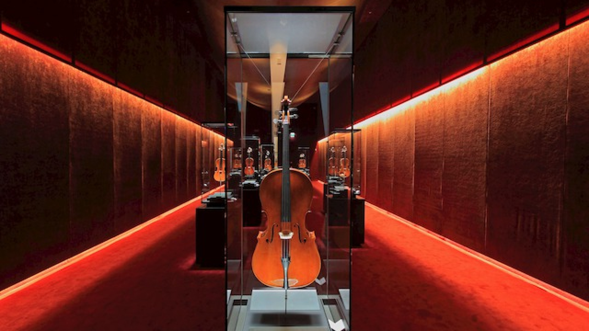 Immagine di Compleanno ad Expo per il Museo del Violino