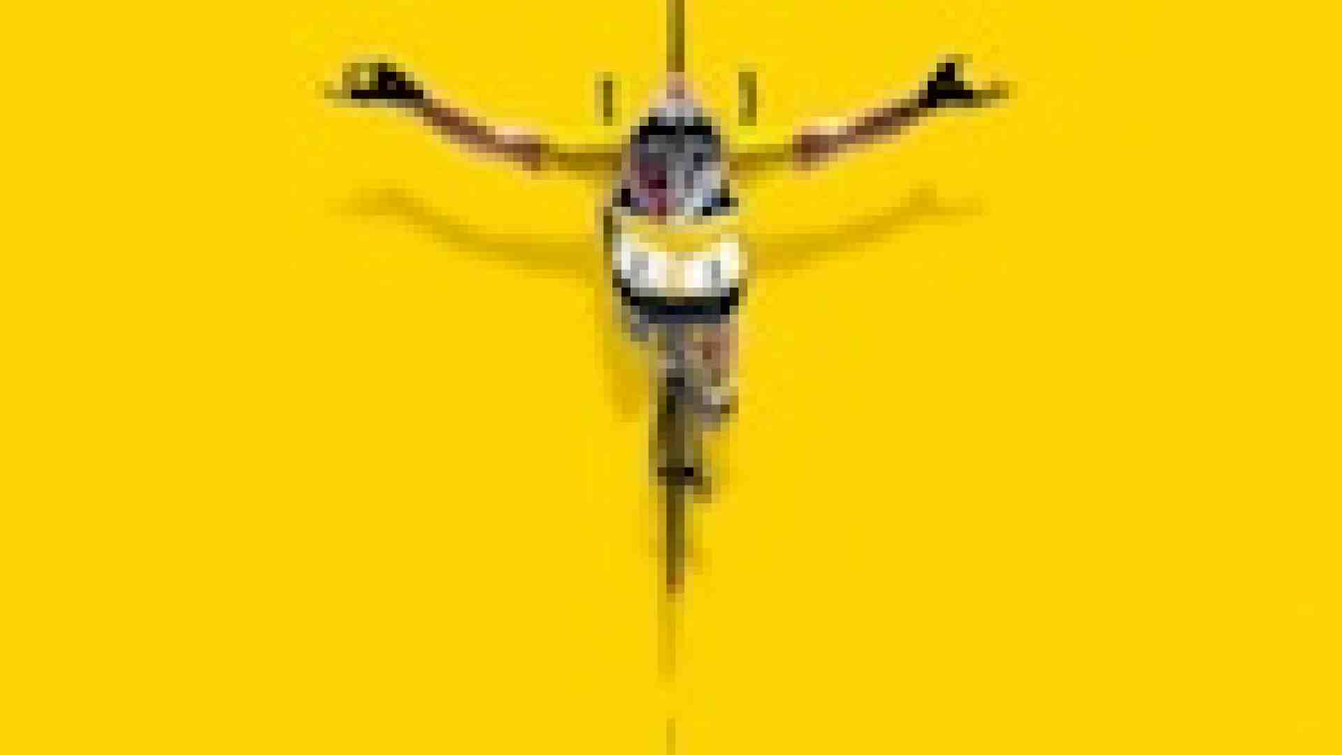 Immagine di Ascesa e caduta di un finto campione