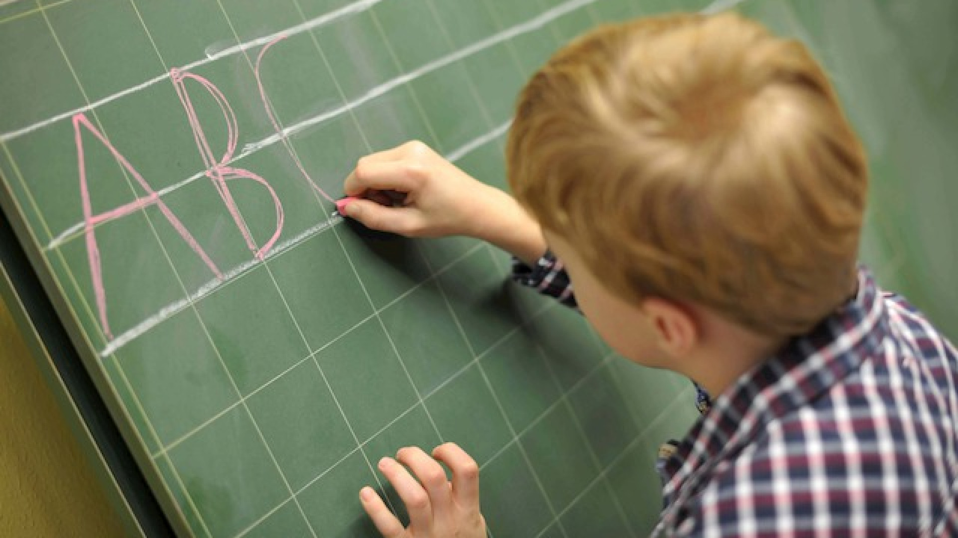 Immagine di La sopravvivenza della scuola privata è un fatto di libertà