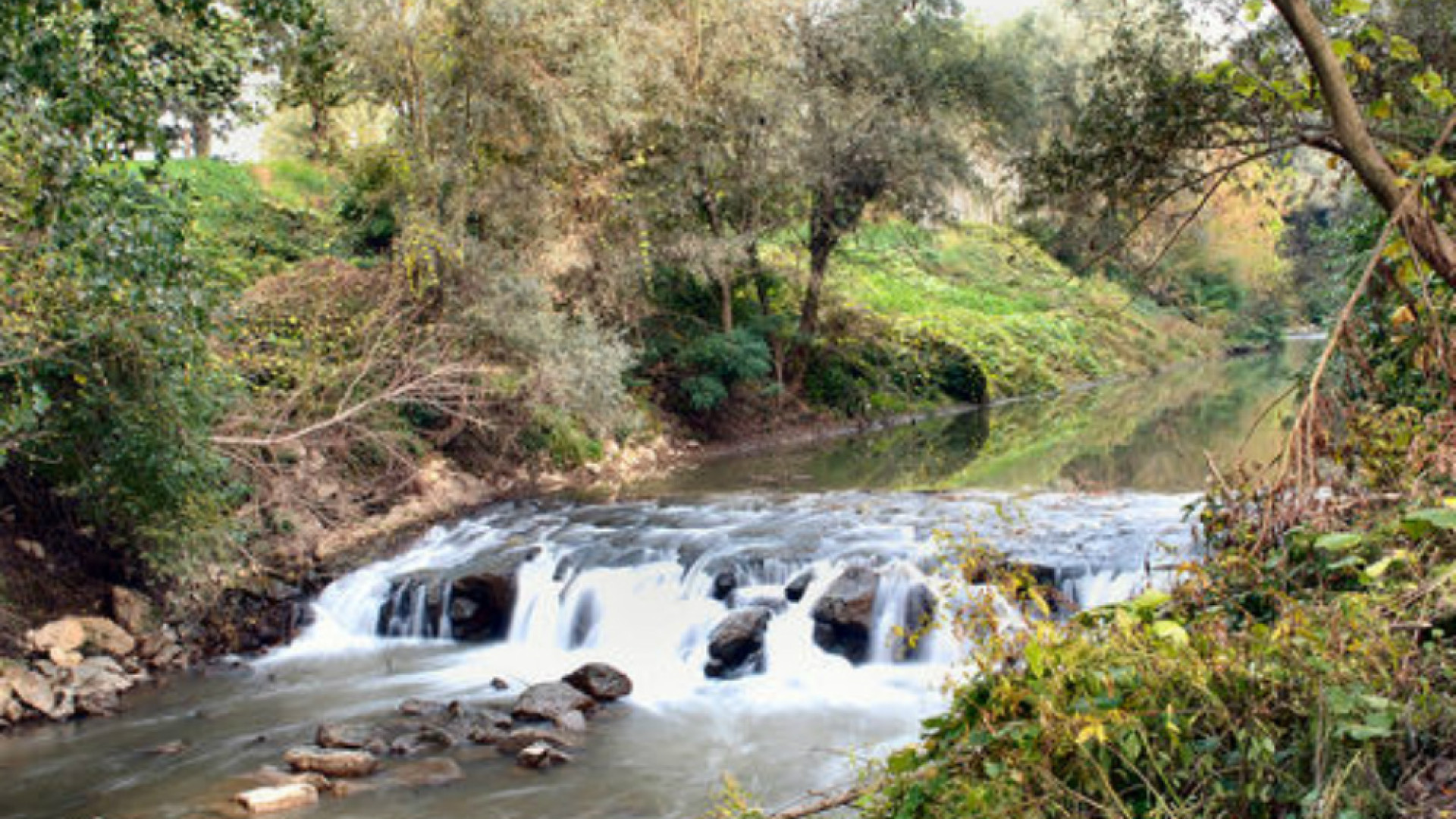 Immagine di Sì all'ampliamento del PLIS del Po e del Morbasco