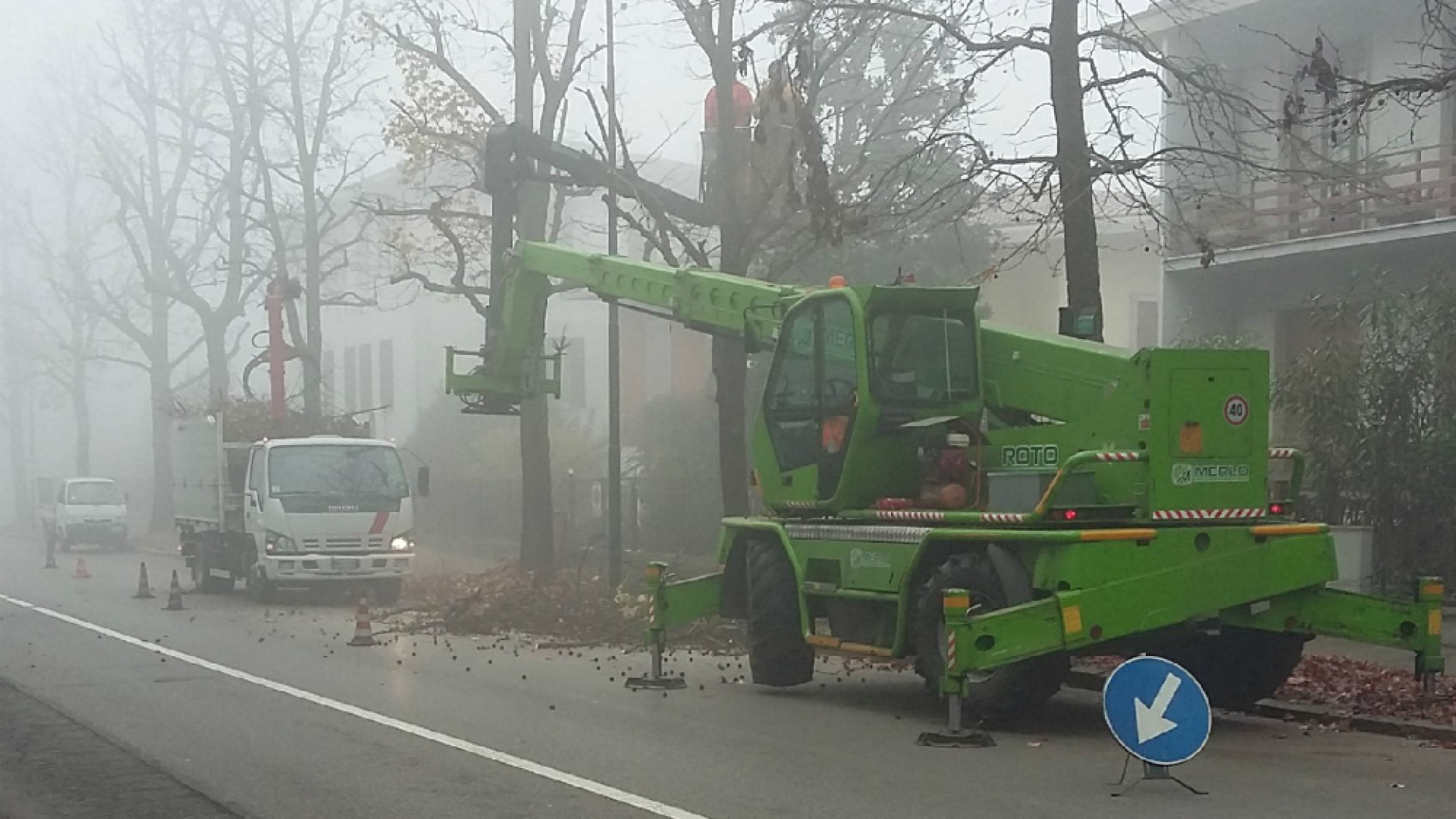 Immagine di Al via il Piano invernale delle potature interventi in tutta la città