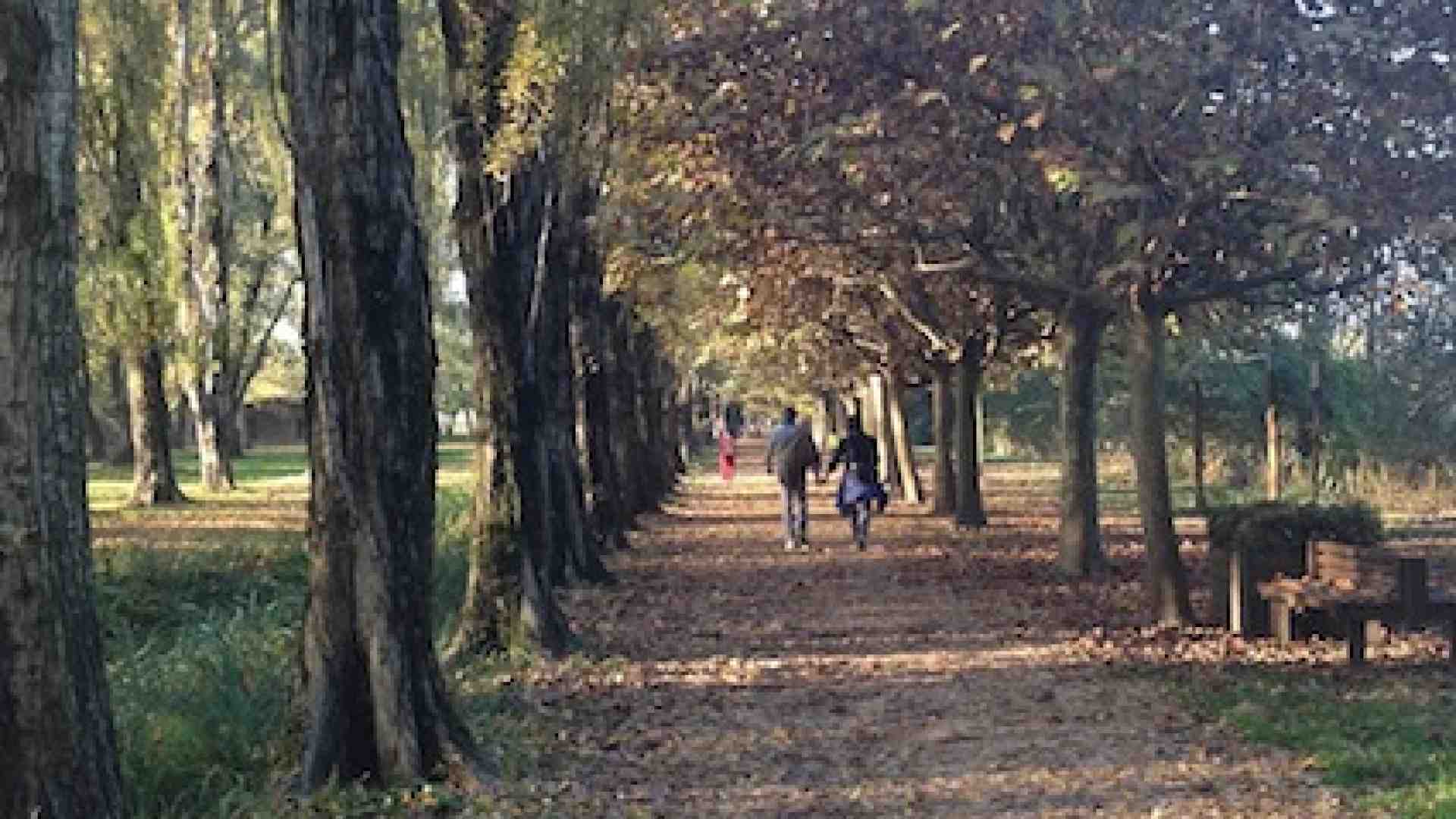 Immagine di Una struttura perfetta in un ambiente ritrovato