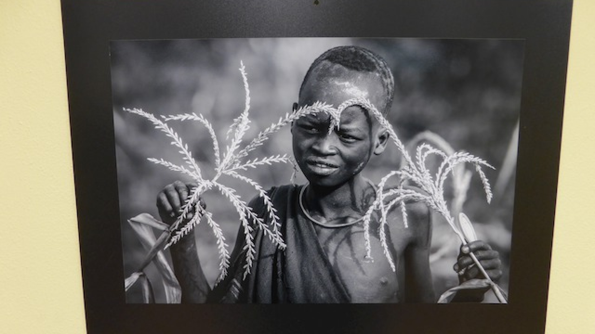 Immagine di Il cuore dell’Africa alla Nolli