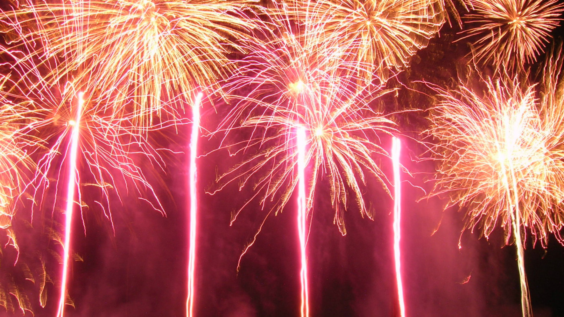 Immagine di Niente botti a Capodanno e consigli utili per tutelare gli amici a quattro zampe