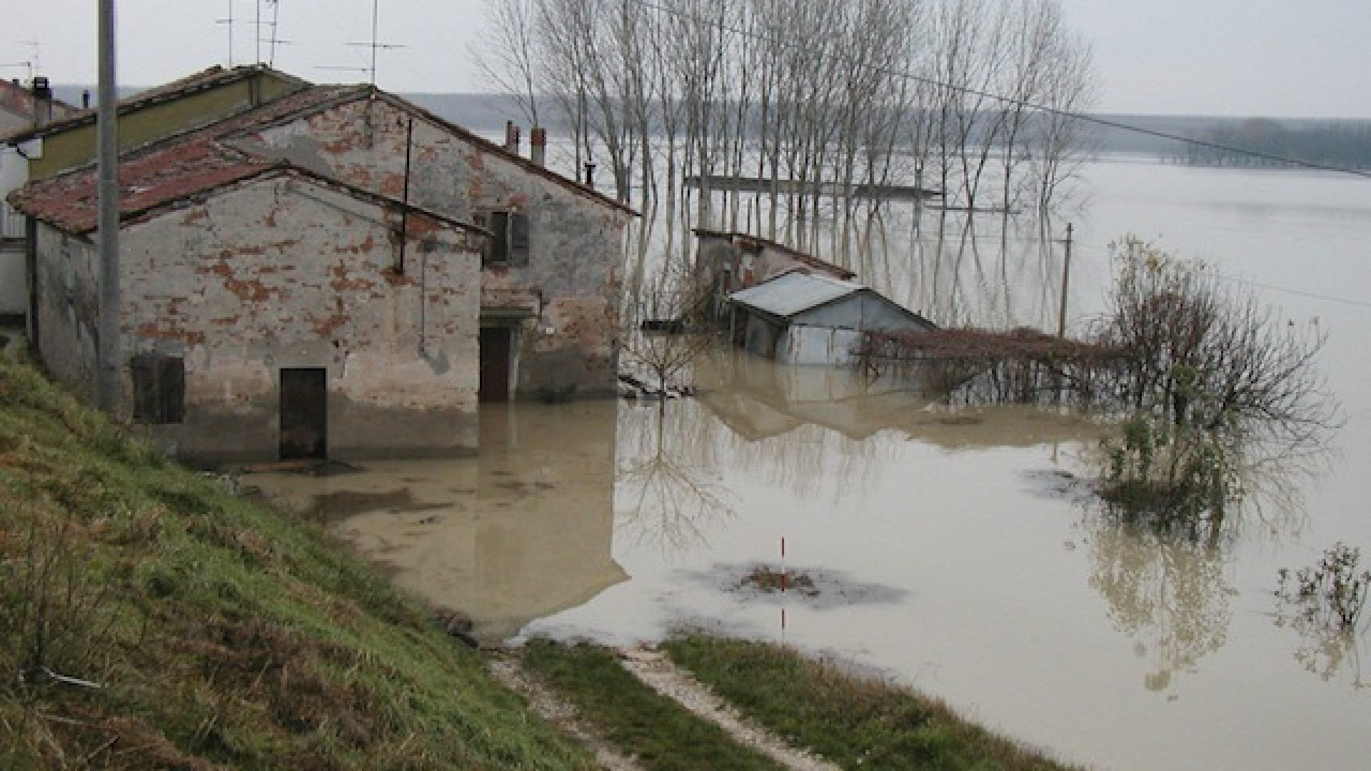 Immagine di Nemica acqua