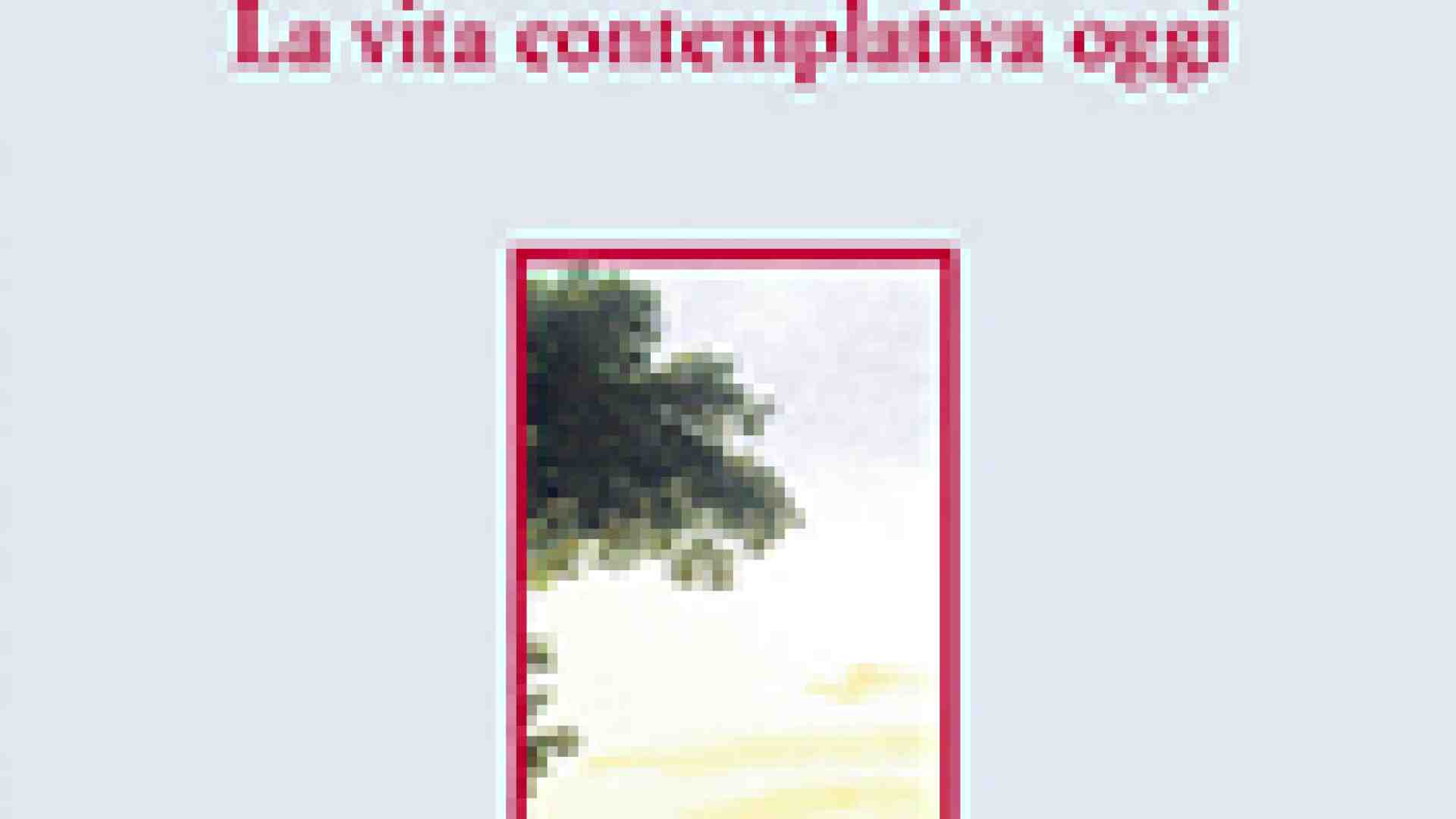 Immagine di Il monachesimo per madre Piccardo