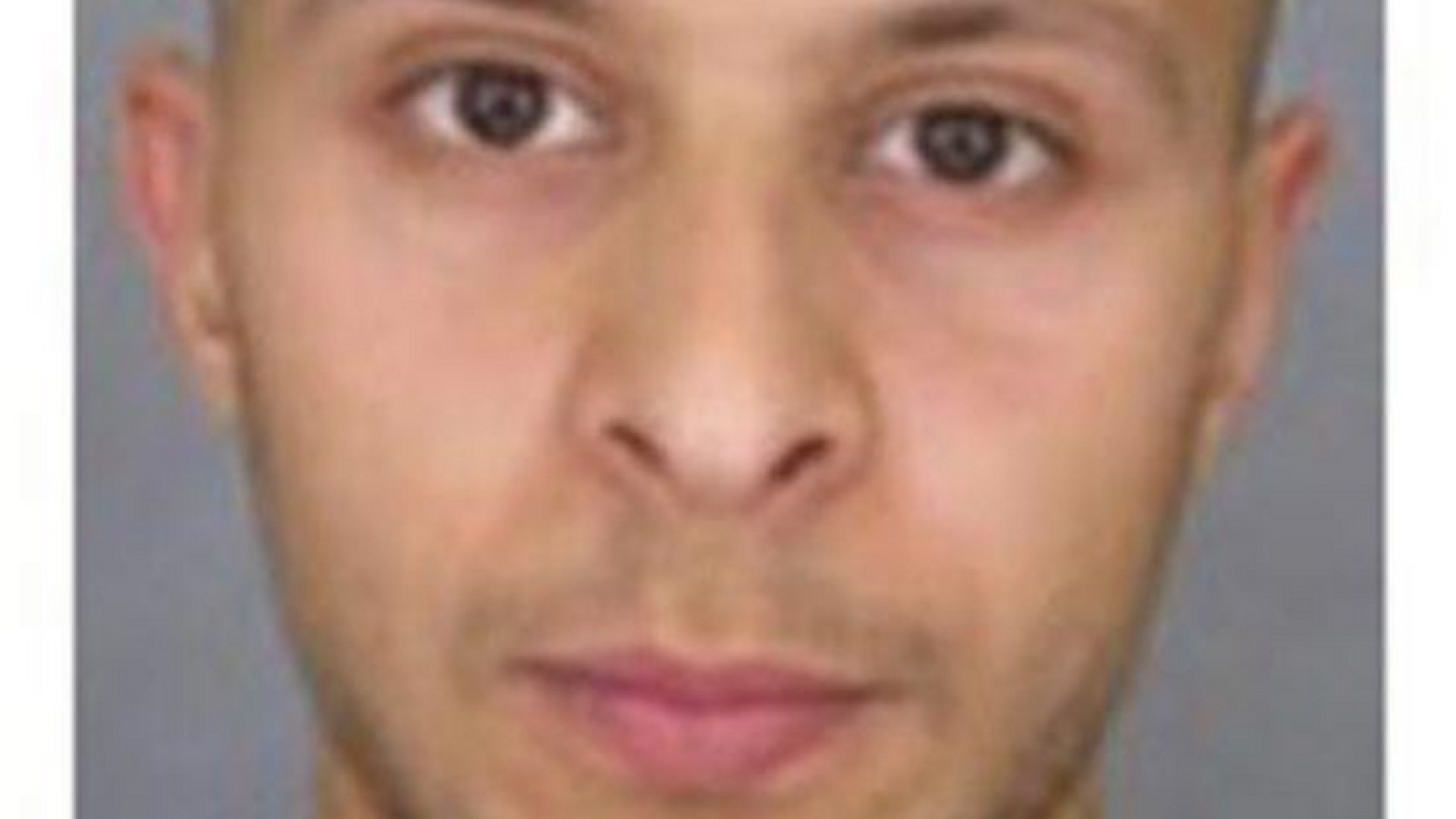 Immagine di Salah, i kamikaze e quelli che non sanno quello che fanno