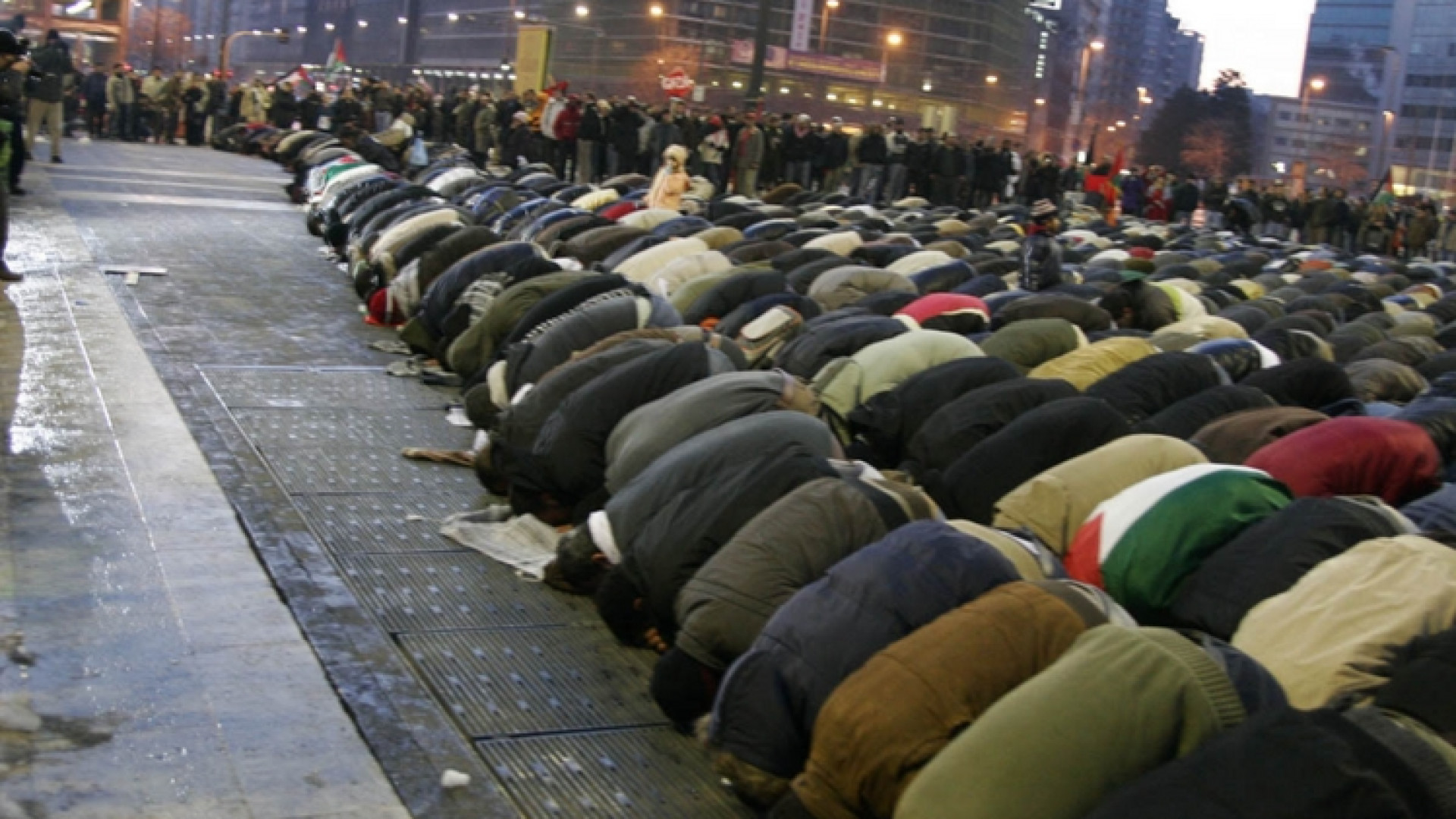 Immagine di La condanna dei musulmani d'Italia: sono belve