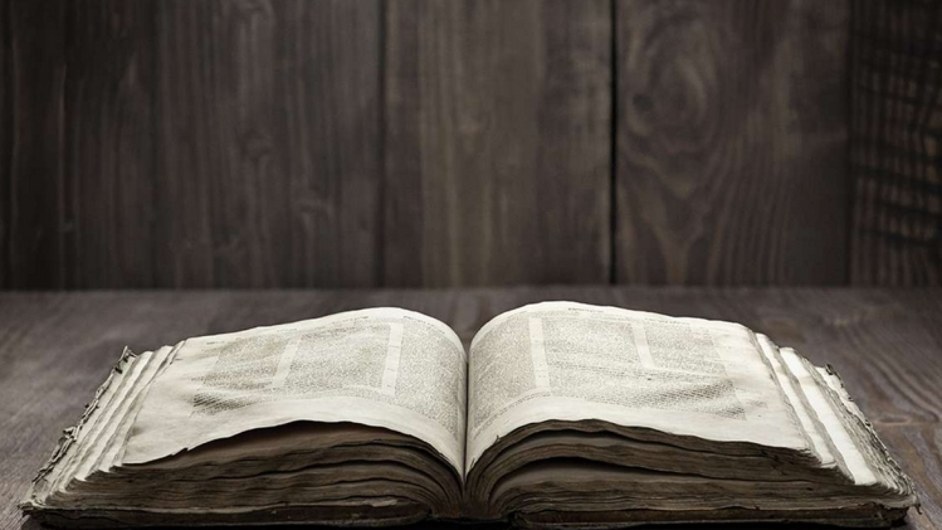 Immagine di TALMUD dal rogo allo scaffale