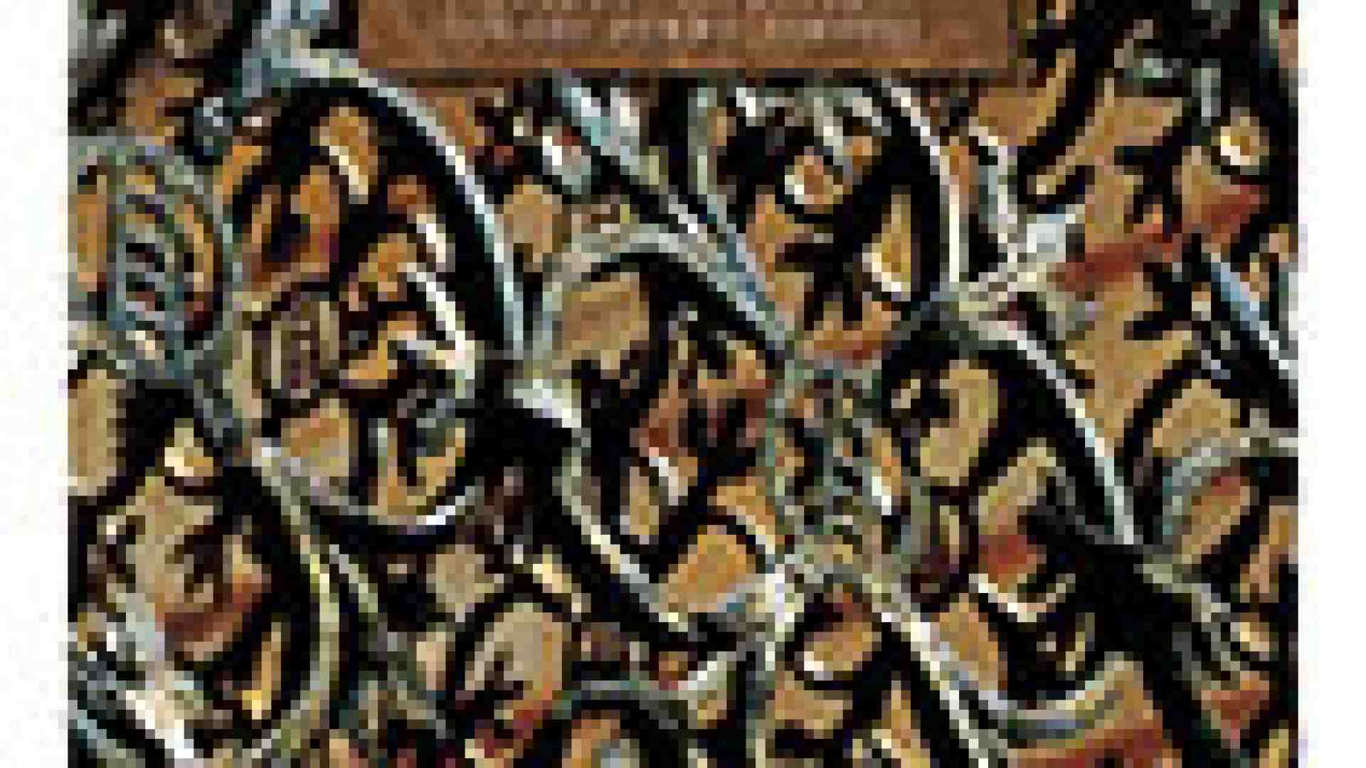 Immagine di Conoscere Verona attraverso i colori