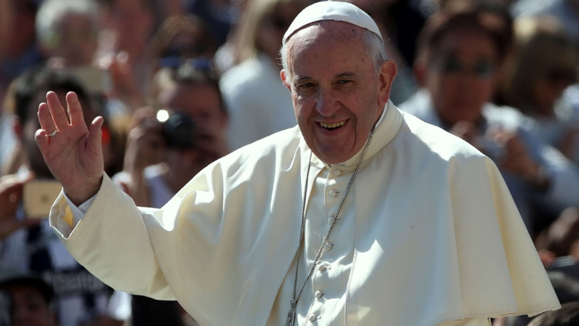 Immagine di Il Papa: «Nessuna pecora può andare perduta»