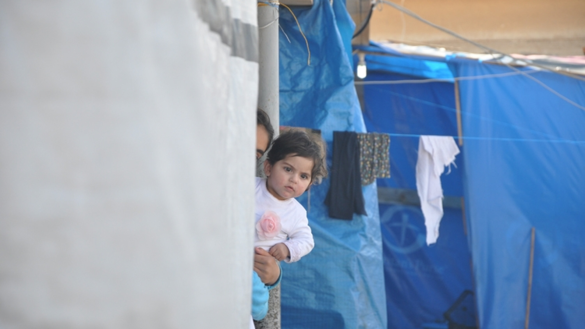 Immagine di Iraq e Siria, non lasciamoli soli