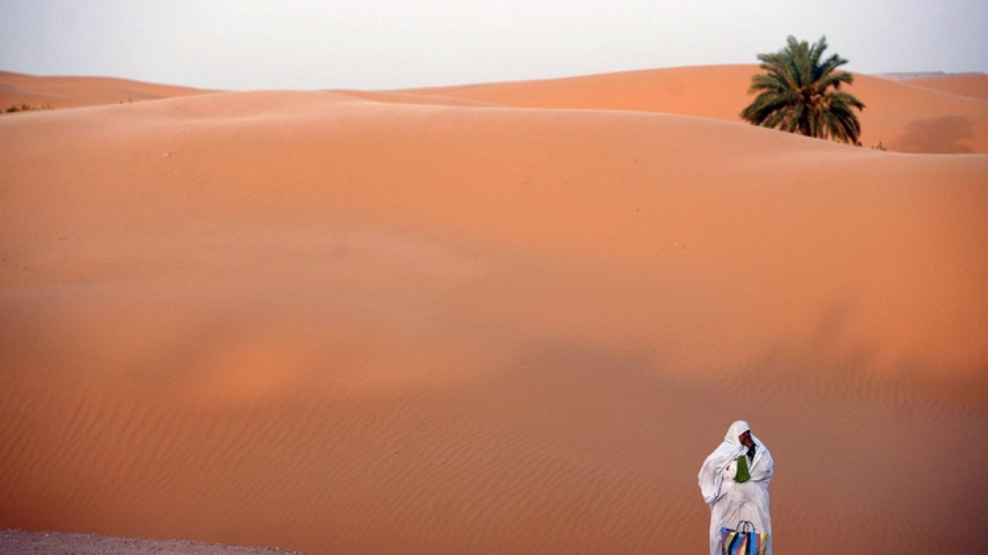 Immagine di Eremite, storie di donne nel deserto