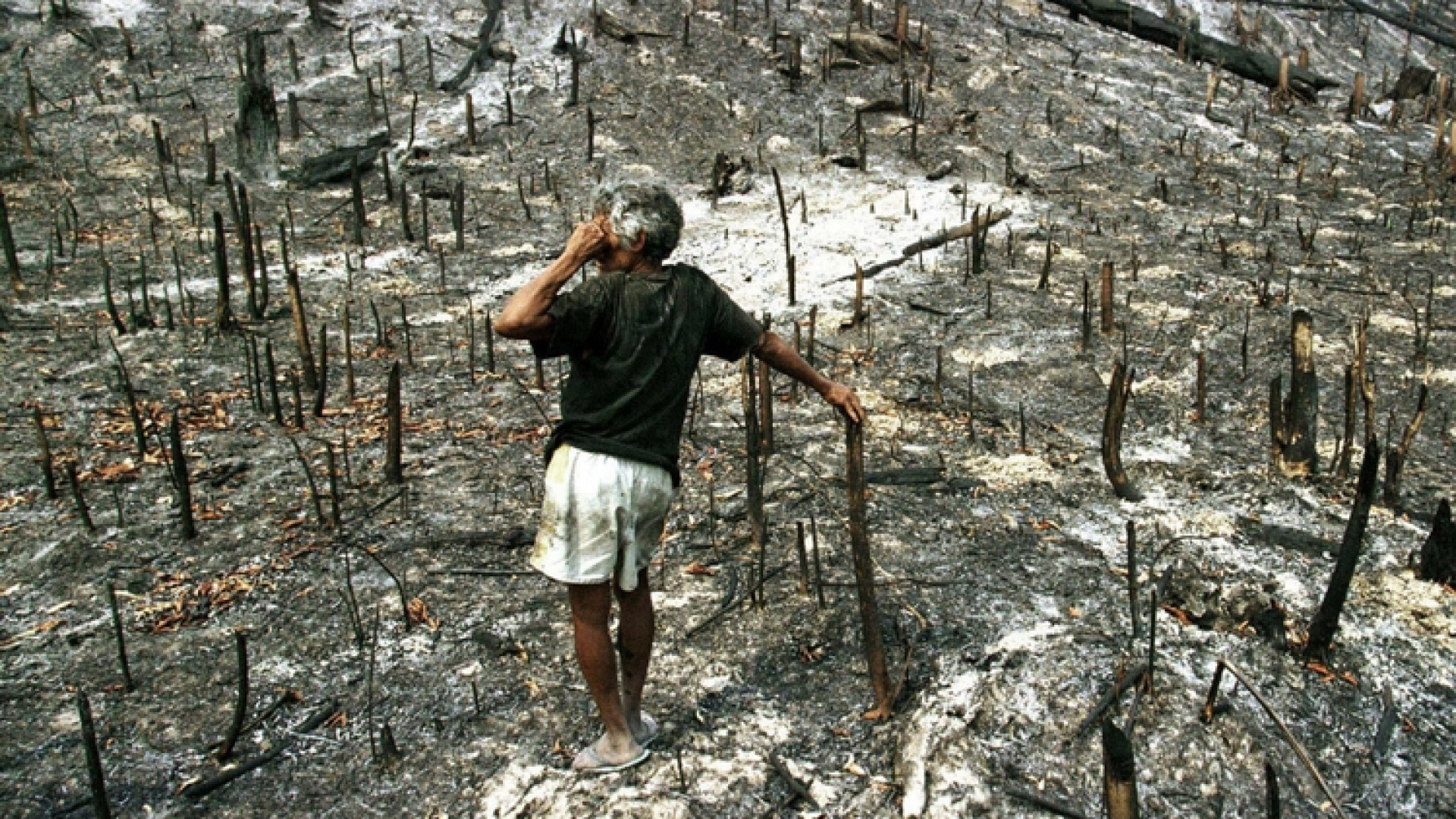 Immagine di Ambiente, 1.746 guerre «invisibili»