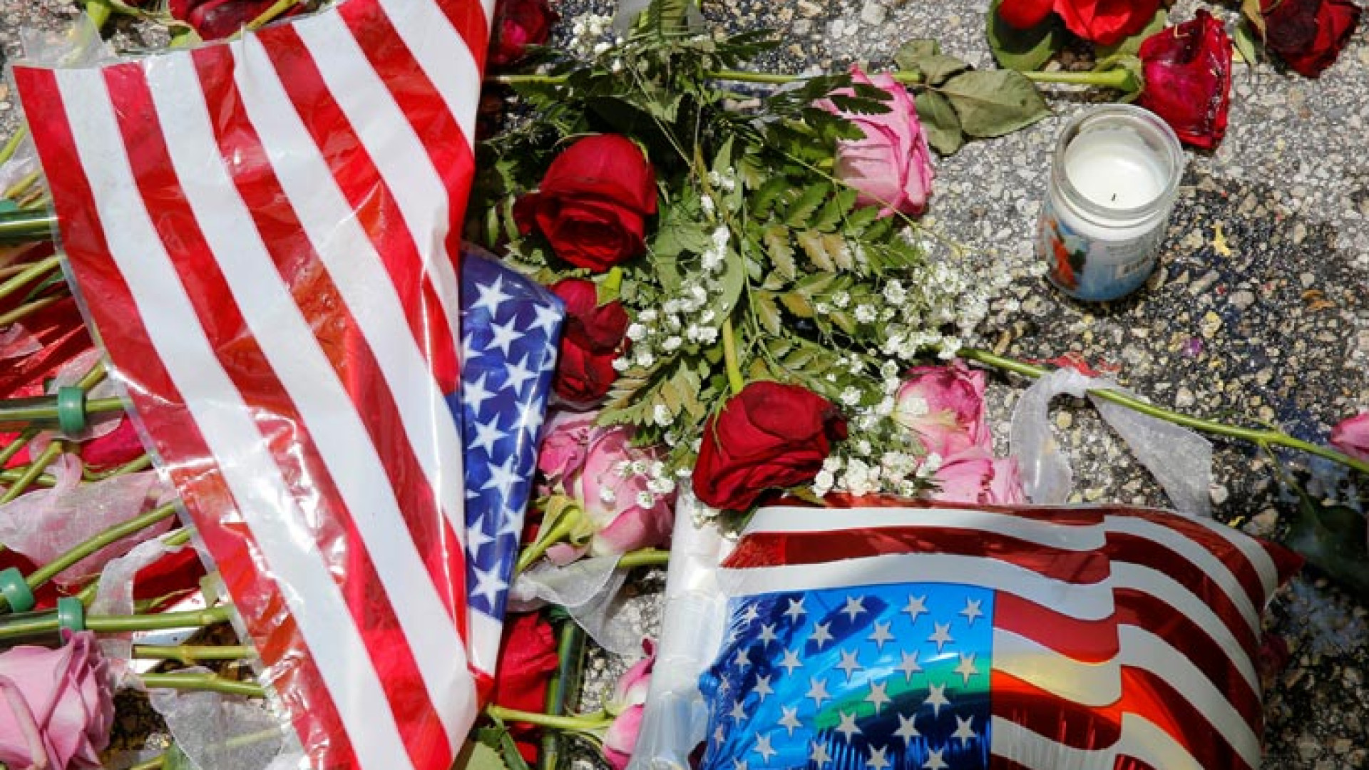 Immagine di Usa: armi e Daesh, la paura da battere