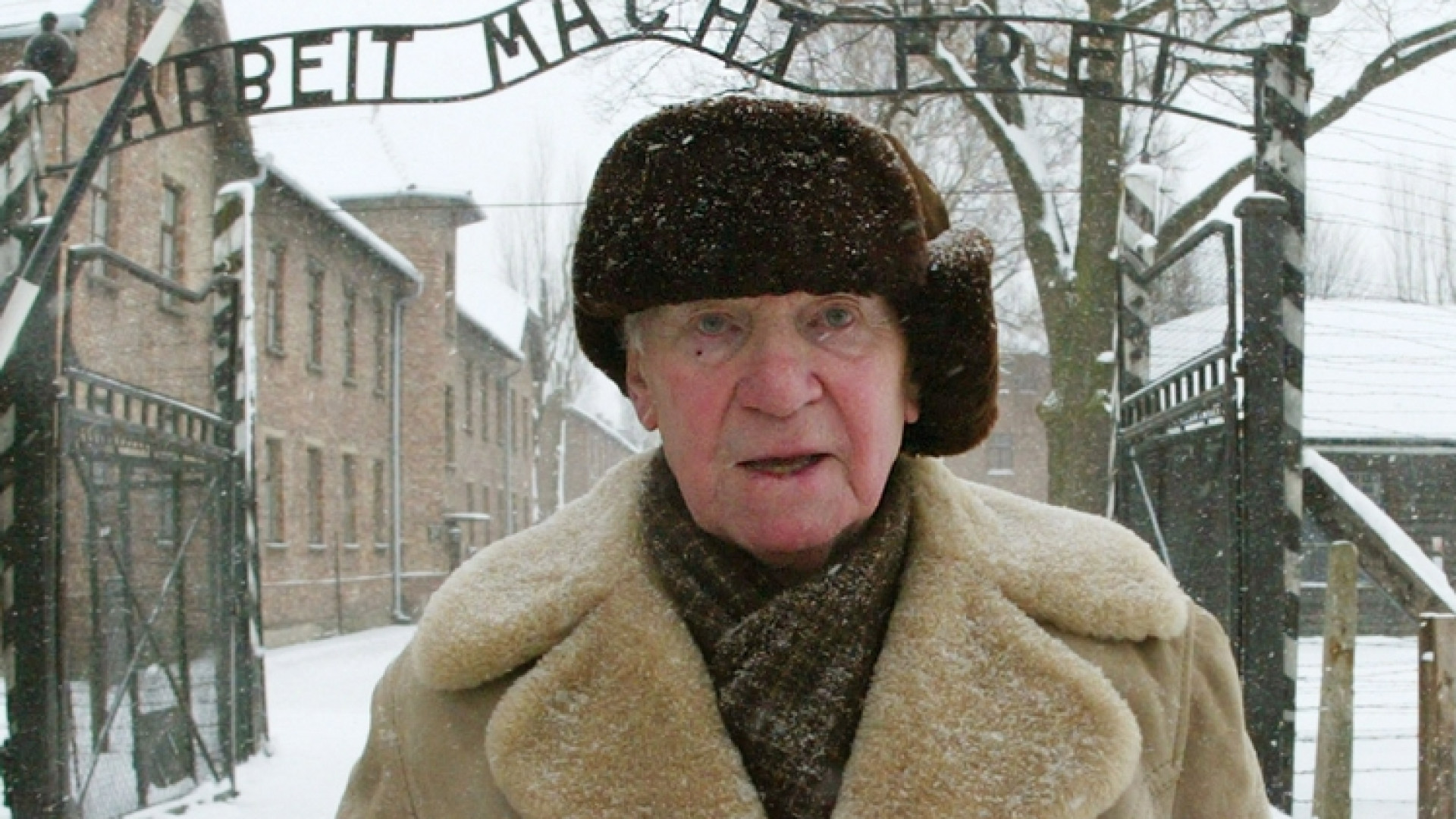 Immagine di Gli incassi di «Mein Kampf» per le vittime della Shoah