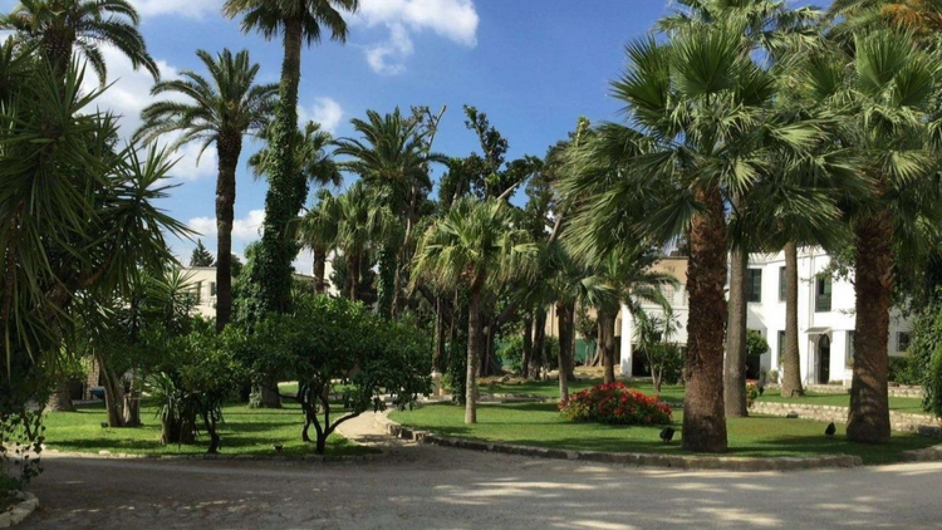 Immagine di Contro il terrorismo, i giusti parlano arabo