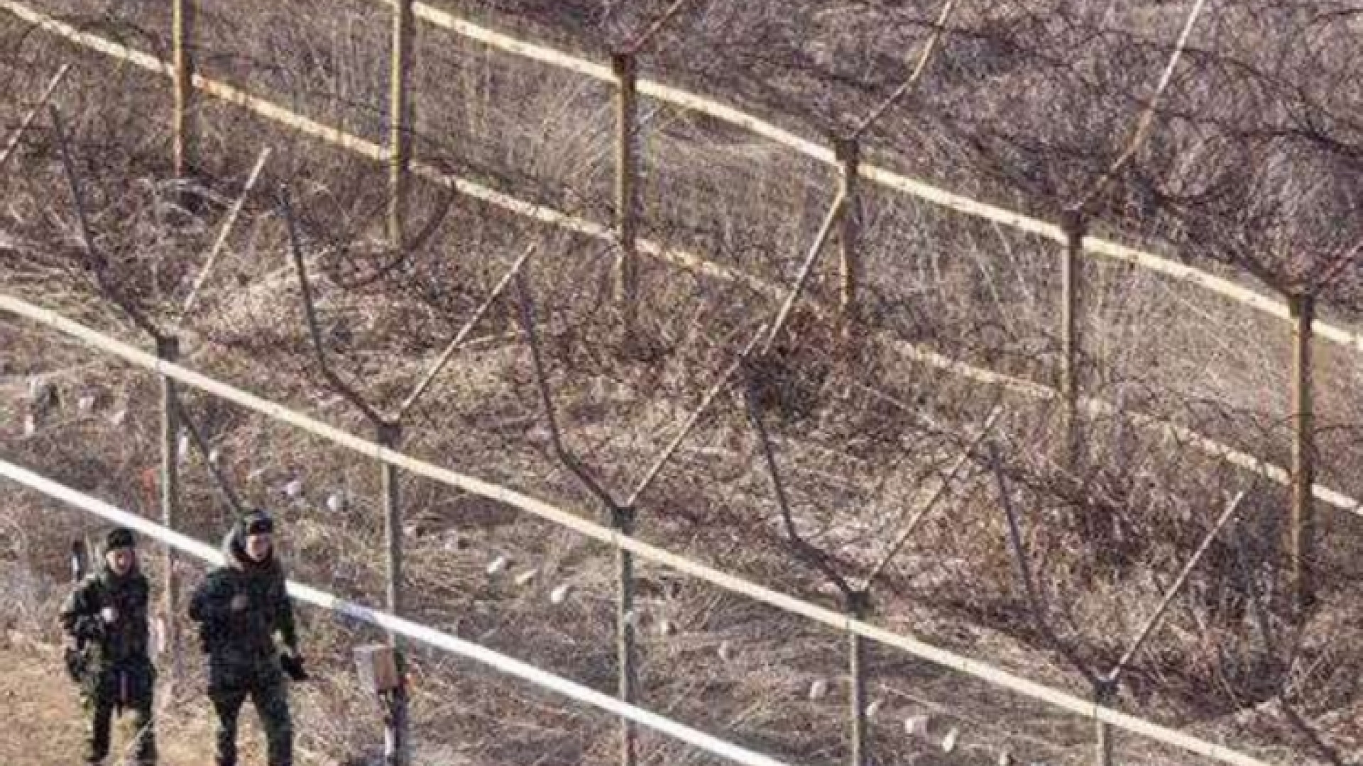 Immagine di Corea del Nord, lettere al regime più chiuso
