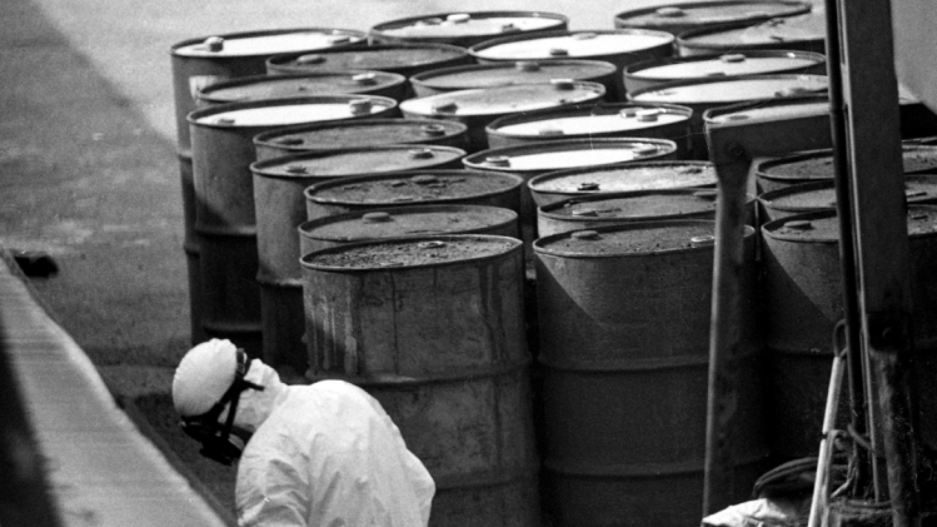 Immagine di Seveso, 40 anni dopo i veleni restano