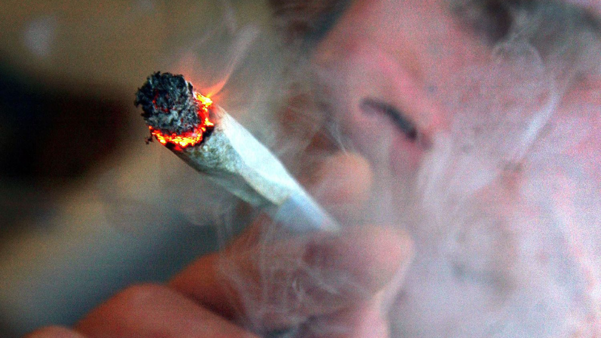 Immagine di Sette motivi per dire "no" alla marijuana legalizzata