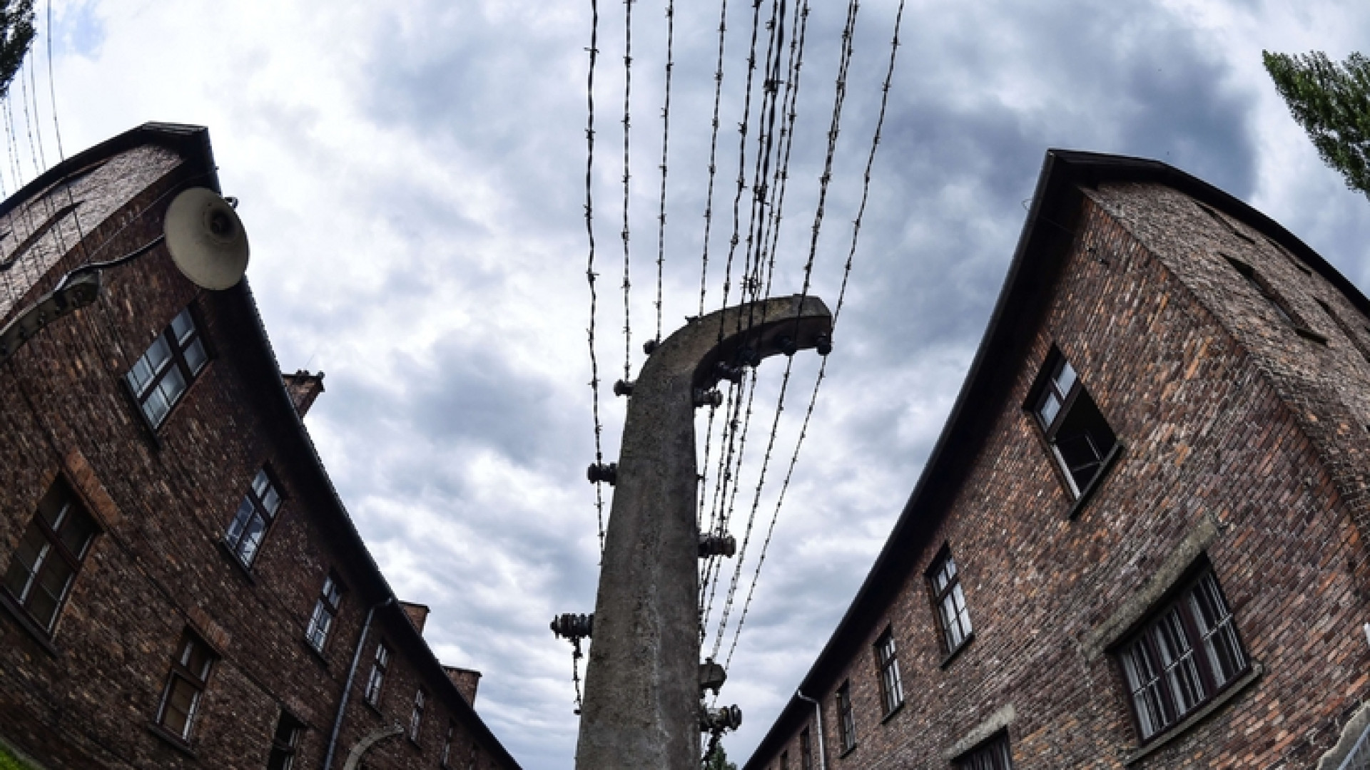 Immagine di Il silenzio nella visita ad Auschwitz L'abbraccio a 11 sopravvissuti