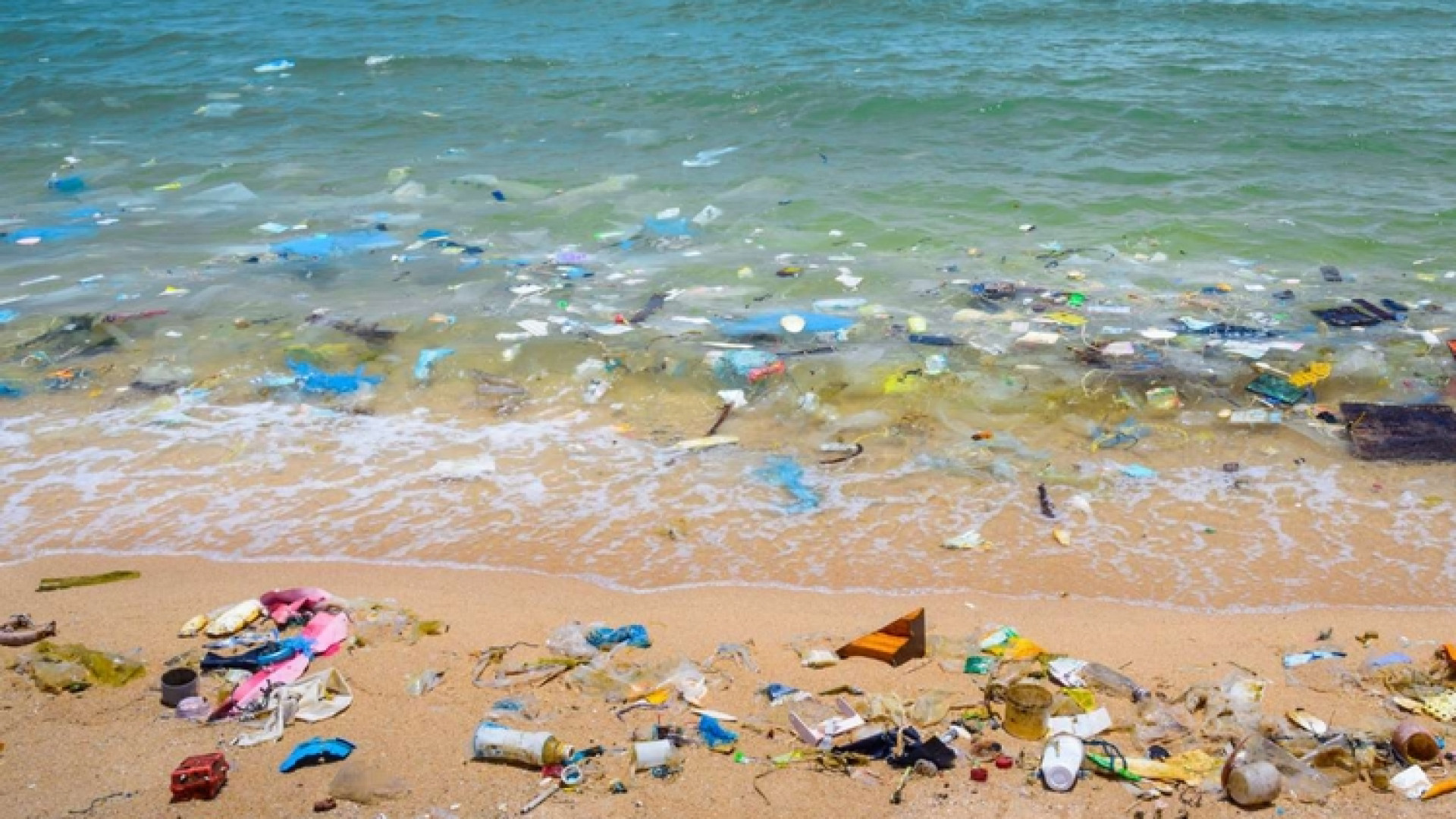 Immagine di Mare, un punto inquinato ogni 54 km