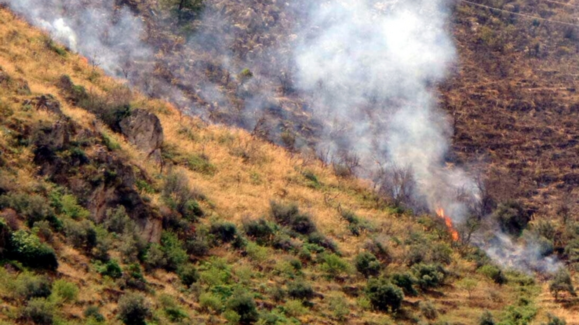 Immagine di Roma, a fuoco la collina di Monte Mario