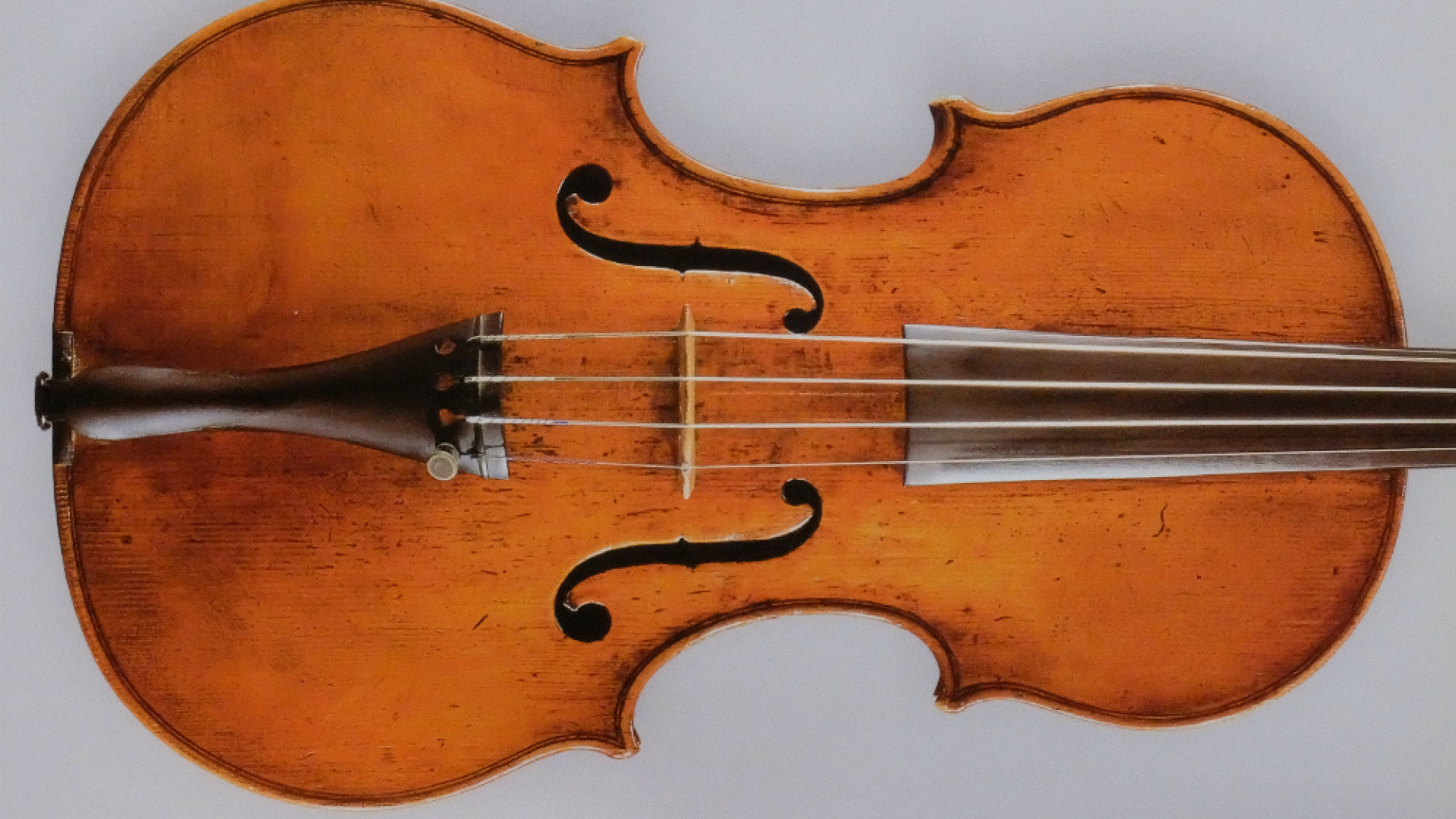 Immagine di A bottega da Nicolò Amati il Raffaello dei violini