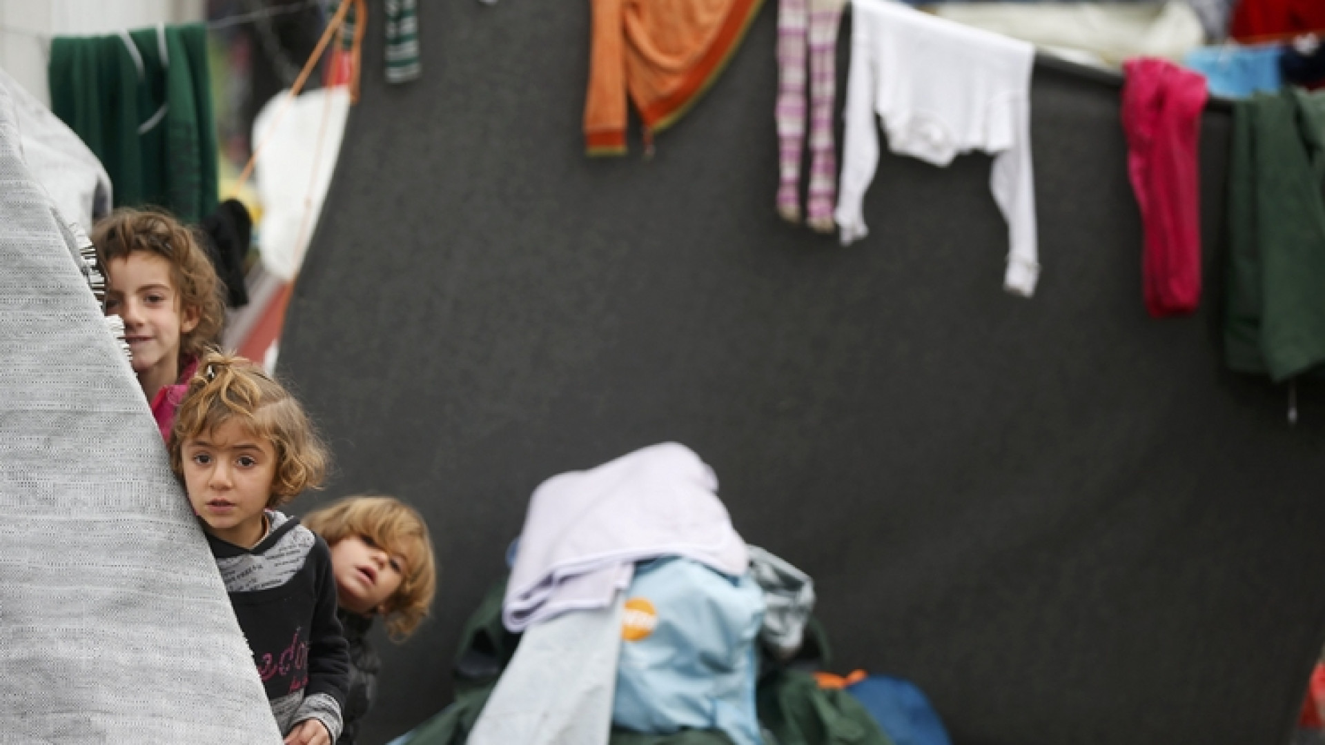 Immagine di L'Unicef: 50 milioni di bimbi sradicati