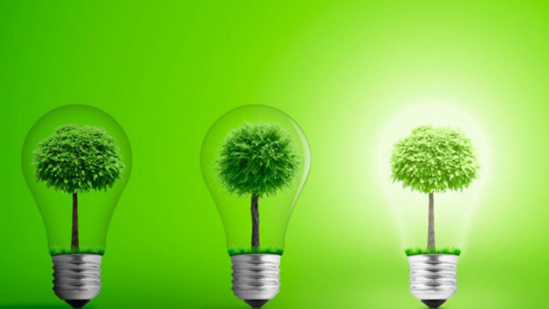 Immagine di Quando il rifiuto è green