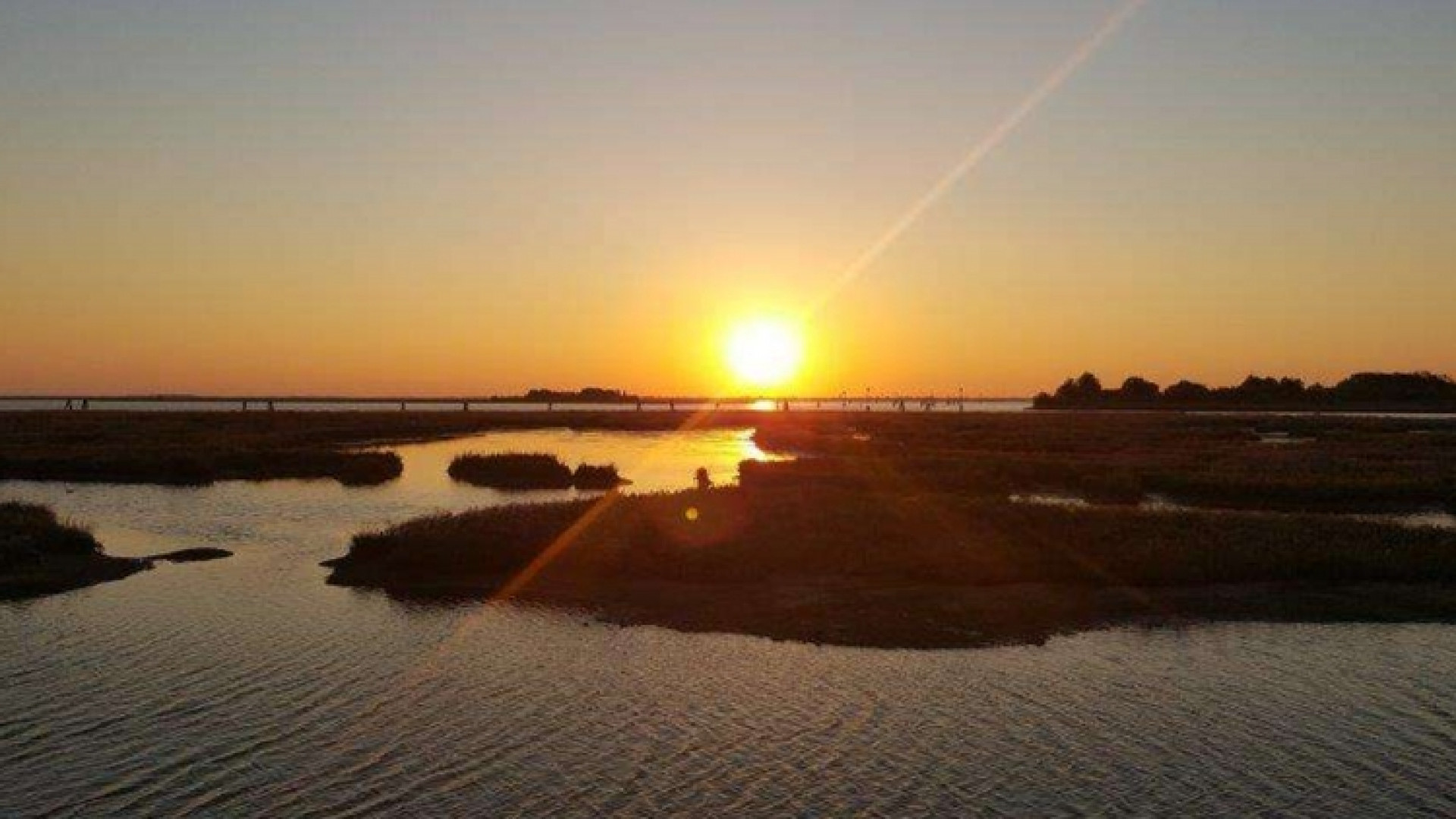 Immagine di L'Eden nella laguna veneta che avvicina ai miracoli