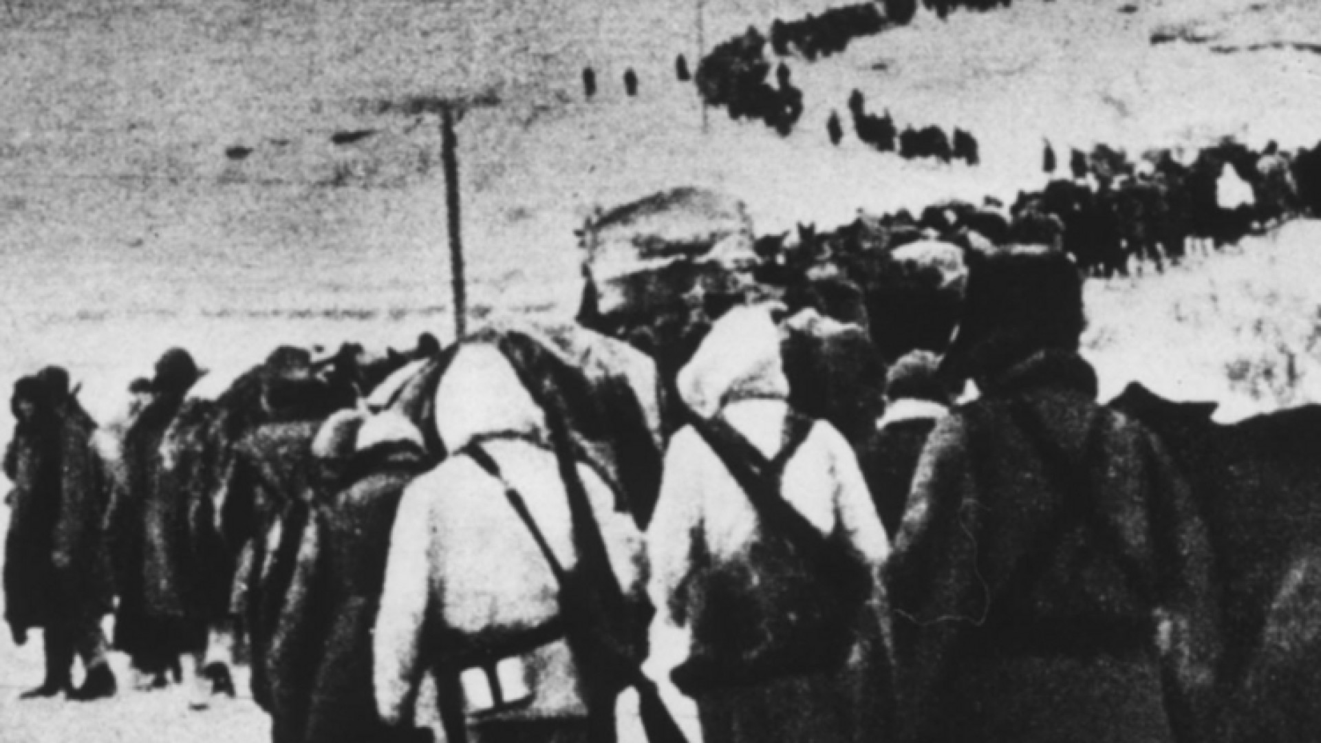 Immagine di I resti di un soldato ignoto in Russia Una piastrina, 21 anni e nulla più