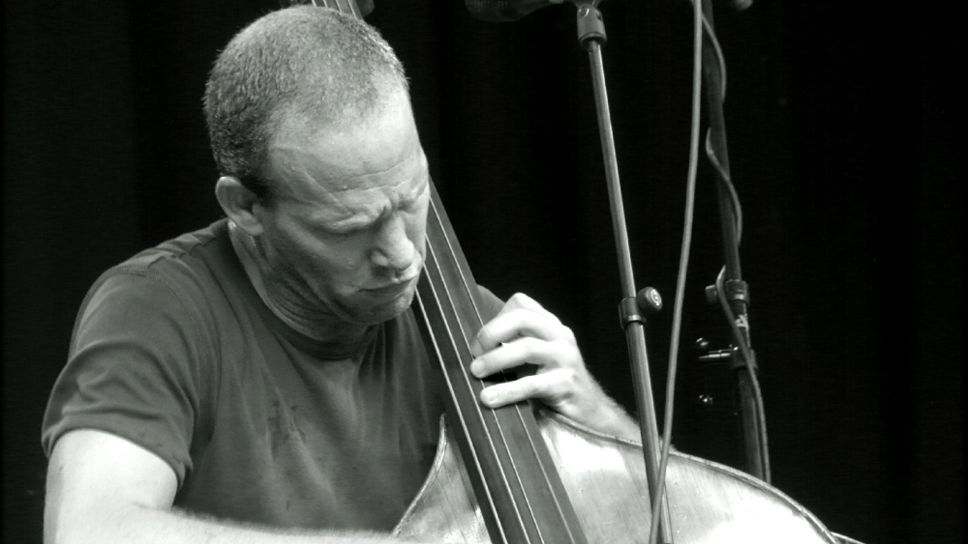 Immagine di Un viaggio intorno al mondo con il jazz di Avishai Cohen