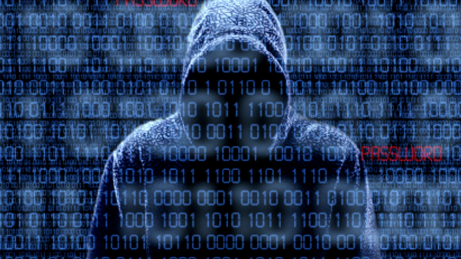 Immagine di Ladri avanti a colpi di bit: i dati di aziende e privati nel mirino degli hacker