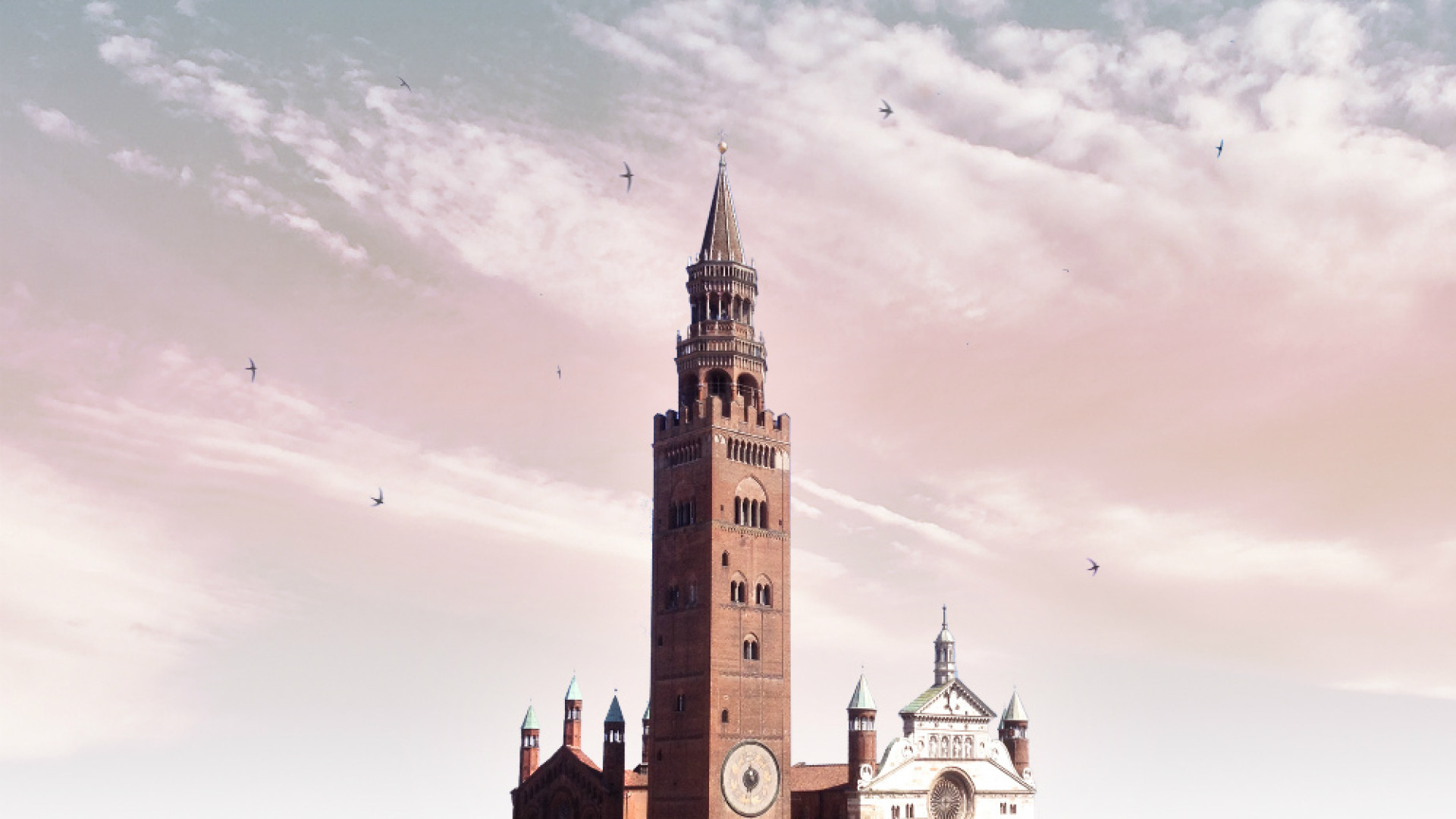 Immagine di Tra pietre e cielo In volo con Kid Vik nella città leggera