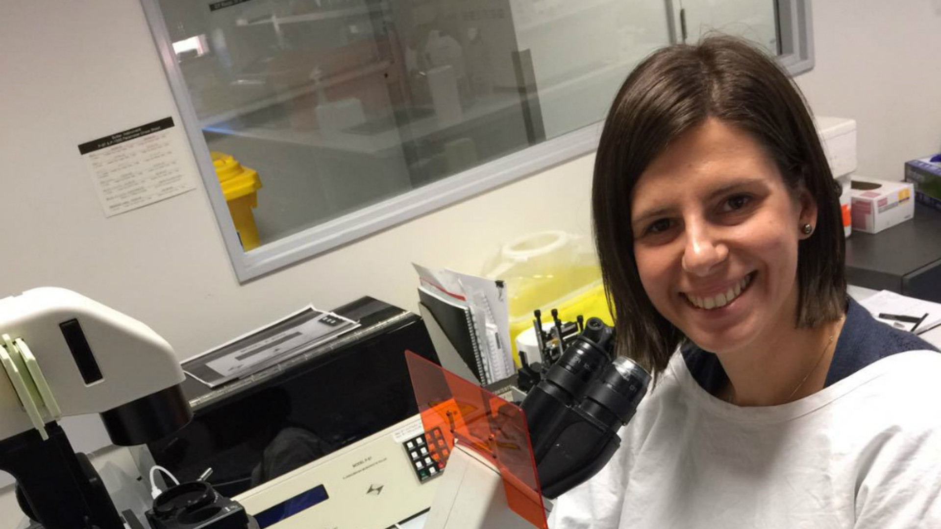 Immagine di Da Cremona all'Australia per studiare i misteri della genetica