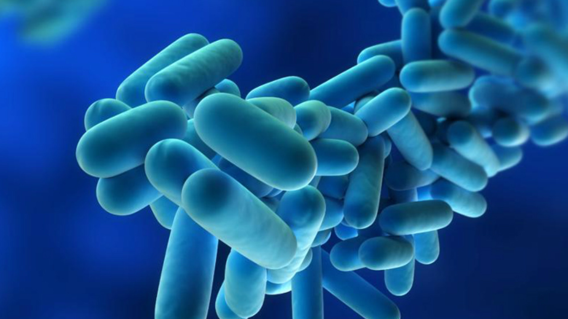 Immagine di Allarme legionella, otto casi in un paese