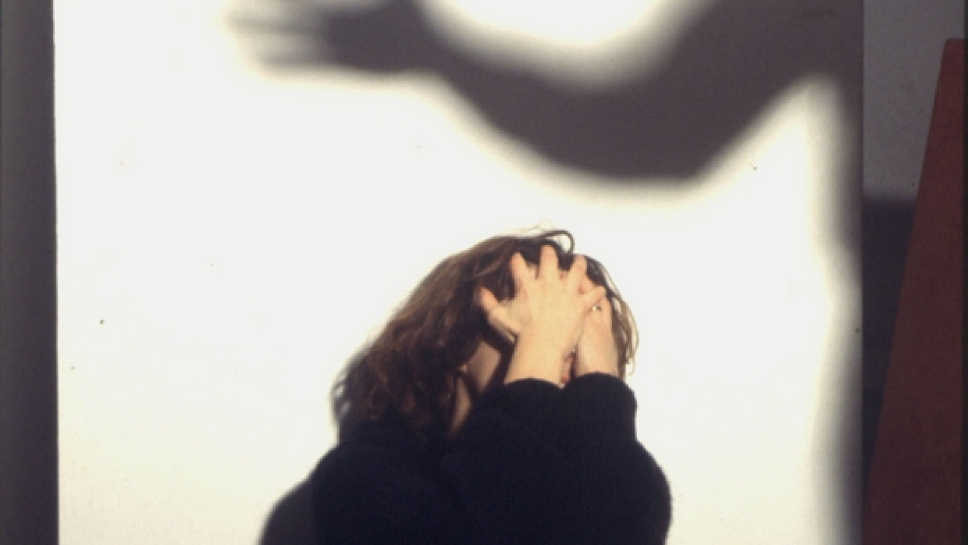 Immagine di La Giornata contro la violenza sulle donne: a Seveso l'ultimo caso