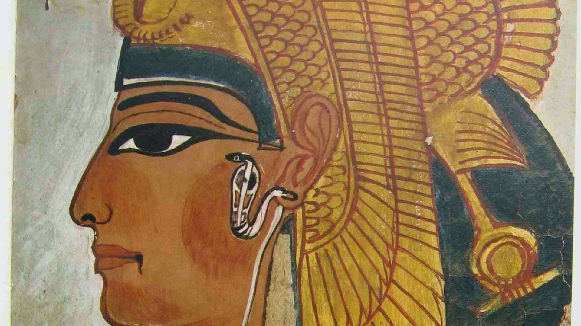 Immagine di Nefertari, ritrovata la mummia della regina: era al Museo Egizio di Torino
