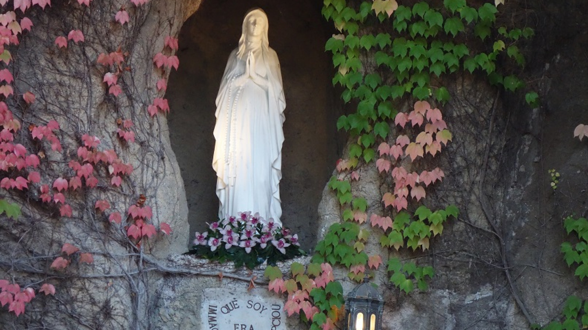 Immagine di Immacolata Concezione, una storia di bellezza