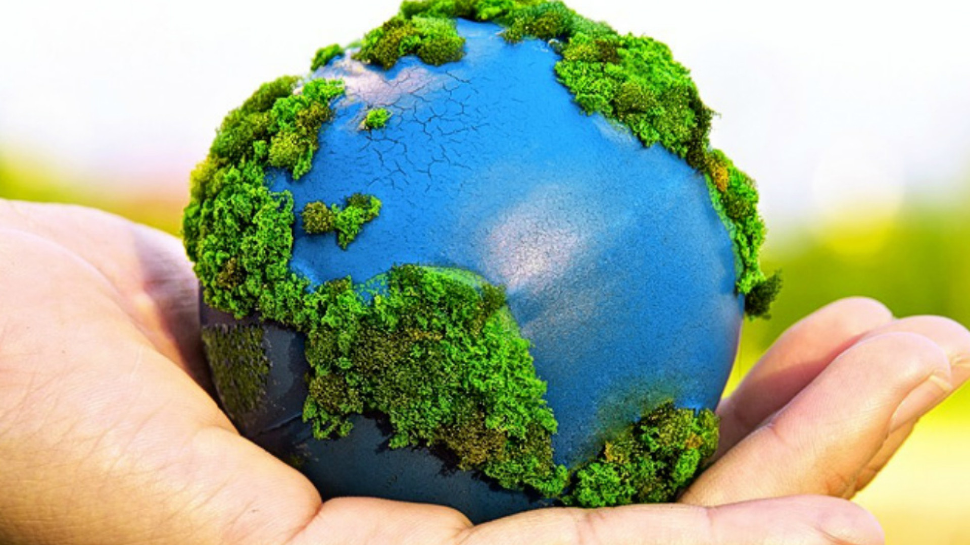 Immagine di La lotta per difendere l'ambiente deve continuare