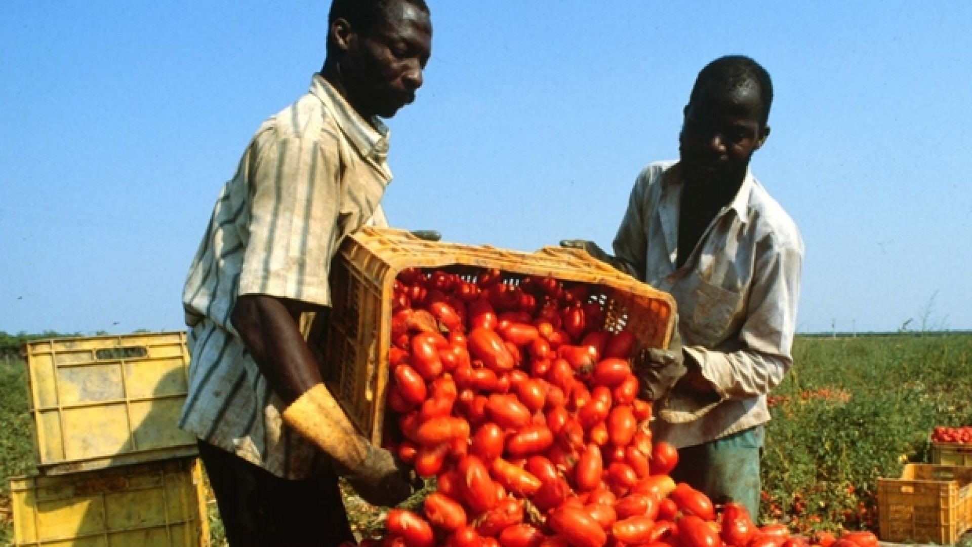 Immagine di Permesso di soggiorno e lavoratori immigrati