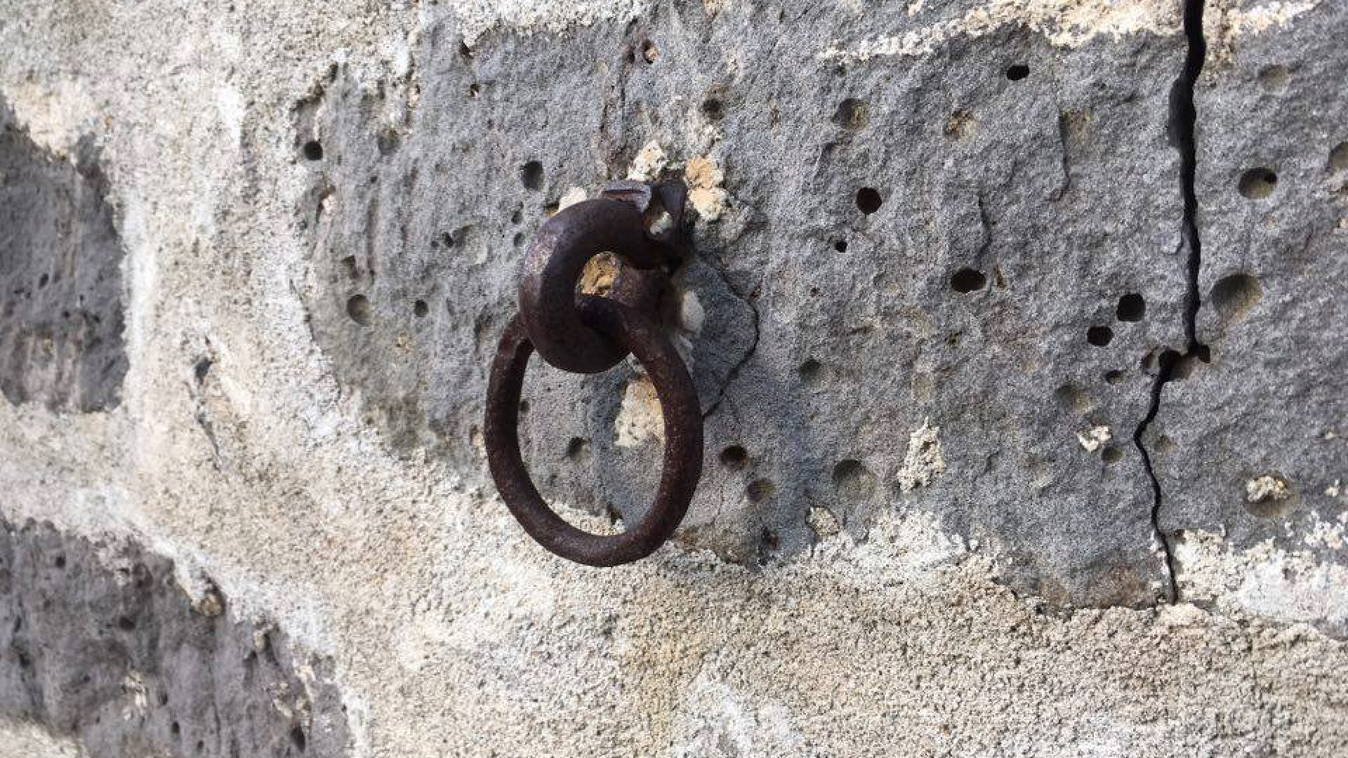 Immagine di «Che commozione il ritorno alle mie origini»